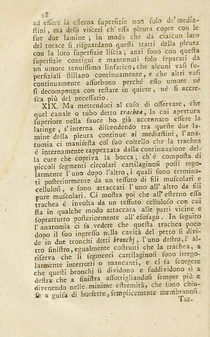 ad efiere la edema fuperfizie nofi folo eie media- llìni, ma delli vifeerì eh’ efTa pleura copre con le fue due lamine j in modo che da ciafeun lato del torace 11 rirguardano quelli tratti della pleura con la loro fuperlìzìe lifcia ; anzi fono con quella fiiperfizie contigui e mantenuti folo feparati da un umore tenuilhmo linfatico » che alcuni vafì fu« perfiziali llillano continuamente, e che altri vafi continuamente alTorbono perche elio urnore ne fi decomponga con rellare in quiete, né li accre- fea più del necelTario. XIX. Ma mettendoci al cafo dì oficrvare, che quel canale o tubo detto trachea ^ la cui apertura fuperiore nella fauce ho già accennato elTere la laringe, s’interna difeendendo tra quelle due la* mine della pleura continue ai mediallini , 1 ana* tomìa ci manifella col fuo coltello che la trachea é internamente tappezzata dalla continuazione del- la cute che copriva la bocca; ch’é compolla di piccoli fegmenti circolari cartilaginof! polli rego- larmente l’uno dopo l’altro,! quali fono termina- ti polleriormente da un telTuto di mufcolari e cellulofi, e fono attaccati 1’ uno all’ altro da fili pure mufcolari. Cì mollra poi che air ellerno elfa trachea é involta da un tefluto cellulofo con cut Ha in qualche modo attaccata alle parti vicine e Ibprattutto polleriormente all’ efofago. In feguito r anatomia ci fa vedere che quella trachea poco dopo il fuo ingrelTo ndla cavità del petto fi divi- de in due tronchi detti bronchj, l’uno deliro,! al- tro finillro, egualmente collruiti che la trachea, a riferva che li fegmenti cartilaginofi/ono irrego- larmcnte interrotti o mancanti, e ci la Icorgere che quelli bronchi fi dividono e fuddividono si a delira che a finillra allbttigliandofi Tempre piu e divenendo nelle minime ellremità, che tono chiu- ib a guifa dì borfette, fempliccmente membranoh.