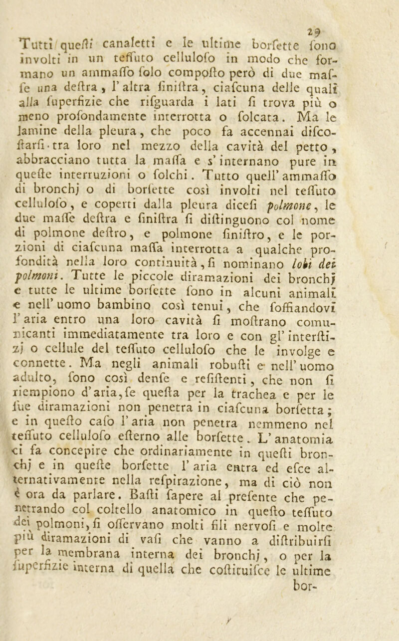 Tutti qucili canaletti e le ultime borfette Ibno involti in un teffuto cellulofo in modo che for- mano un ainmaffo folo corapofto però di due maf- fe una deftra , l’altra liniera, ciafeuna delle quali alia fuperfizie che rifguarda i lati fi trova più o meno profondamente interrotta o folcata. Ma le lamine della pleura, che poco fa accennai dìfeo- ftarfi*tra loro nel mezzo delia cavità del petto, abbracciano tutta la malfa e s’internano pure in quelle interruzioni o folchi. Tutto quell’ammalfo di bronchi o di borlette così involti nel teffuto cellulofo, e coperti dalla pleura dicefi polmone^ le due mafie delira e finìllra fi dillinguono col nome di polmone deliro, e polmone finìjflro, e le por- zioni di ciafeuna malfa interrotta a qualche pro- fondità nella loro continuità,!! nominano lobi dei polmoni. Tutte le piccole diramazioni dei bronch; e tutte le ultime borfette fono in alcuni animali: c nell’ uomo bambino così tenui, che folfiandovi r aria entro una loro cavità fi mollrano comu- nicanti immediatamente tra loro e con gl’ interlli- zi o cellule del telfuto cellulofo che le involge e connette. Ma negli animali robulli e* nell’ uomo adulto, fono così denfe e refillenti, che non fi licmpiono d’arìa,fe quella per la trachea e per le fue diramazioni non penetra in ciafeuna borfetta ; e in quello cafo 1 aria non penetra nemmeno nel telfuto cellulofo ellerno alle borfette. L’anatomia ci fa concepire che ordinariamente in quelli bron- chi e in quelle borfette 1’ aria entra ed efee al- ternativamente nella rcfpirazìone, ma di dò non c ora da parlare. Balli fapere al prefente che pe- netrando col coltello anatomico in quello telfuto polmoni, fi olfervano molti fili nervofi e molte piu diramazioni di vafi che vanno a dìllrìbuirfi per la membrana interna dei bronch;, o per la iuperfizìe interna di quella che collituilbe le ultime bor-