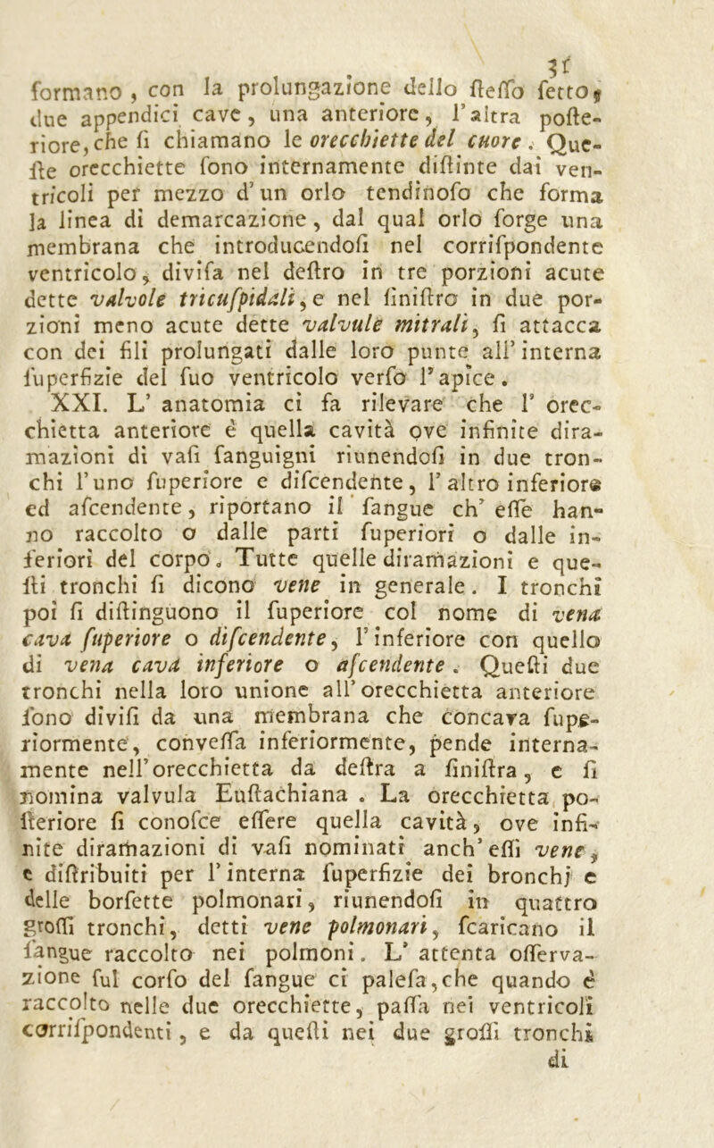 formano, con la prolungazione dello flelTo fettoj due appendici cave, una anteriore, Taltra pofte- riore, che fi chiamano ìc orecchiette del cuore. Que- lle orecchiette fono internamente dipinte dai ven- tricoli per mezzo d’un orlo tendinofo che forma la linea di demarcazione, dal qual orlo forge una membrana che introducendoH nel corrifpondente ventricolo, divifa nel deliro in tre porzioni acute dette valvole tricufpidalì nel lìniflro in due por- zioni meno acute dette valvule mitrali,^ fi attacca con dei fili prolungati dalle loro punte ali’ interna fuperfizie del fuo ventricolo verfo Tapice. XXI. L’ anatomia ci fa rilevare che V orec- chietta anteriore è quella cavità ove infinite dira- mazioni di vafi fanguigni rìunendofi in due tron- chi l’uno fuperiore e difeendente, 1’altro inferiore ed afeendenre , riportano il ’ fangue ch^ effe han- no raccolto o dalle parti fuperiori o dalle in- feriori del corpo ,, Tutte quelle dirarhazioni e que- lli tronchi fi dicono vene in generale. I tronchi poi fi difiinguono il fuperiore col nome di vena cava fuperiore o difeendente^ l’inferiore con quello di vena cava inferiore o afeendente. Quelli due tronchi nella loro unione all’orecchietta anteriore fono divifi da una membrana che concava fupe- riormente, convefia inferiormente, pende interna- mente nell’orecchietta da delira a finillra, c fi nomina valvula Eullachiana . La orecchietta po- lleriore fi conofee efiere quella cavità, ove infi- nite diramazioni di vafi nominati anch’elfi vene ^ e difiribuiti per l’interna fuperfizie dei bronchi e delle borfette polmonari, riunendoli in quattro gtolTi tronchi, detti vene polmonari,, fcaricano il fangue raccolto nei polmoni. L’ attenta ofierva- zione fui corfo del fangue ci palefa,che quando è raccolto nelle due orecchiette, pafi'a nei ventricoli corrifpondenti, e da quelli nei due grollì tronchi di