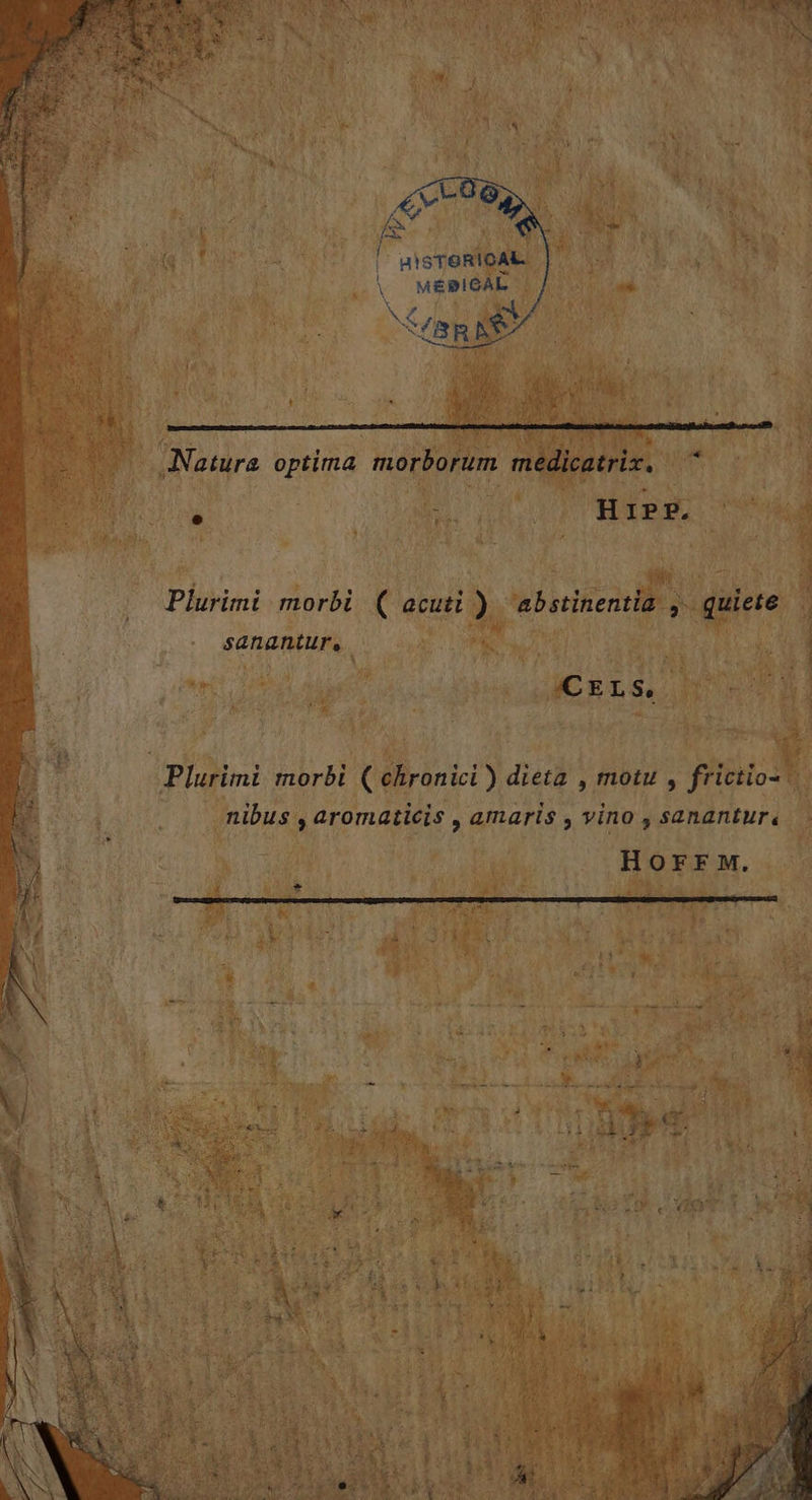 aisTerioAt | AN | \ MÉPIGAL à. * Nature optima morborum m d e &lt;jie à A n = 4 * =: F0 cé ee core *. 2 7e Es MURS NT |) 4 ‘a # Plurimi morbi ( acuti ) “abstinentia quiete PANE . Puf sananture à = La CPE et SL Plurimi morbi (chronici ) dieta , motu , frictio= ; nibus , aromaticis , amaris ; VinO ; SAhANEUré | Mo dun OM NON) TEASER