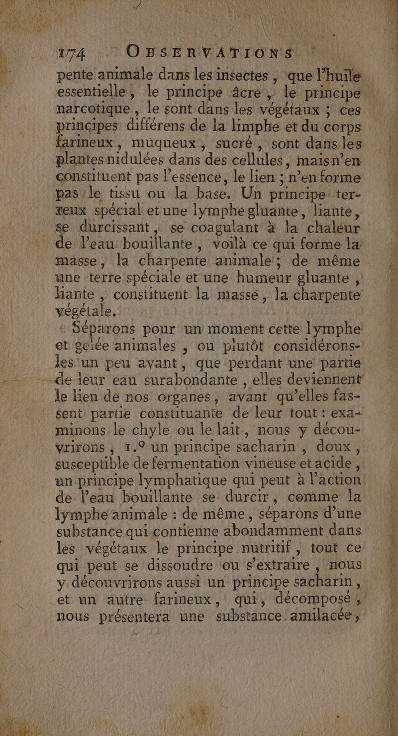 \ VA - 174 OBSERVATIONS ! pente animale dans les insectes , que l'huile: essentielle, le principe âcre , le principe. narcotique, le sont dans les végétaux ; ces principes différens de la limphe et du corps farineux, müqueux, sucré, sont dansles plantes nidulées dans des cellules, maisn’en constituent pas essence, le lien ; n'enforme pas le tissu où la base. Un principe: ter- xeux spécial etune lymphegluante, liante, Se durcissant, se coagulant à la chaleur … de Veau bouillante, voilà ce qui forme læ masse, la charpente animale; de même ! une terre spéciale et une humeur gluante , liante , constituent la massé, la charpente végétale, Séparons pour un moment cette lymphe et gelée animales , où plutôt considérons- : les'un peu avant, que perdant une partie » --üe leur eau surabondante , elles deviennent | le lien de nos organes, avant qu’elles fas- sent partie constituante de leur tout : exa- minons le chyle ou le lait, nous y décou- vrirons , 1.® un principe sacharin , doux, susceptible de fermentation vineuse etacide, un principe lymphatique qui peut à l’action, : de l’eau bouillante se durcir, comme la lymphe animale : de même, séparons d’une substance qui contienne abondamment dans les végétaux le principe nutritif | tout ce qui peut se dissoudre ou s’extraire , nous y découvrirons aussi un principe sacharin, et un autre farineux, qui, décompose ; nous présentera une substance amilacée,