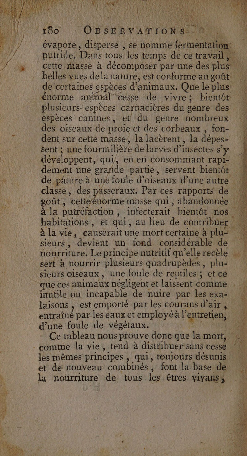 ee AMOR AR) GRAS GÉNIAL O PERTE $ %p ANTILLES 4 4 ALES: ve } DES | Kfs £ 1 *# a { LÀ 32%) te +04 ! te 180 Onsrnyarions à évapore, dispersé , se nomme fermentation: putride, Dans tous les temps de ce travail cette masse à décomposer par ure des EN belles vues dela nature, est conforme angoût de certaines espèces d'animaux, Que le plus: à énorme animal” cesse de vivre; bientôt … plusieurs- espèces carnacières du genre des \ espèces canines, et du genre nombreux des oiseaux de proie et des corbeaux , fon- dent sur cette masse, la lacèrent, la dépes- sent ; une fourmilière de larves d’inséctes s y PUR ARE développent, qui, en en consommant rapi- dement une grande partie, servent bientôt M LUN de pâture à uné foule d'oiseaux d’une autre ! classe, des passeraux. Par ces rapports de goût, cetieénorme masse qui, abandonnée M à la A , infecterait bientôt nos. habitations, et qui, au lieu de contribuer: à la vie, causerait une mort certaine à plu- TM sieurs, devient un fond considérable de % nourriture, Le principe nutritif qu elle recèle sert à nourrir plusieurs quadrupèdes, plu- sieurs oiseaux, une foule de reptiles ; et ce que ces animaux négligent et laissent comme . inutile ou incapable de nuire par les exa- laisons , est emporté par les courans d’air , entraîné par les eaux et employé à l’ entretien, 1108 d’une foule de végétaux. “18 Ce tableau nous prouve donc que la mort, comme la vie, tend à distribuer sans cesse * les mêmes principes , qui, toujours désunis et de nouveau combinés , font la base de la nourriture de tous les êtres ViVaus ; 4