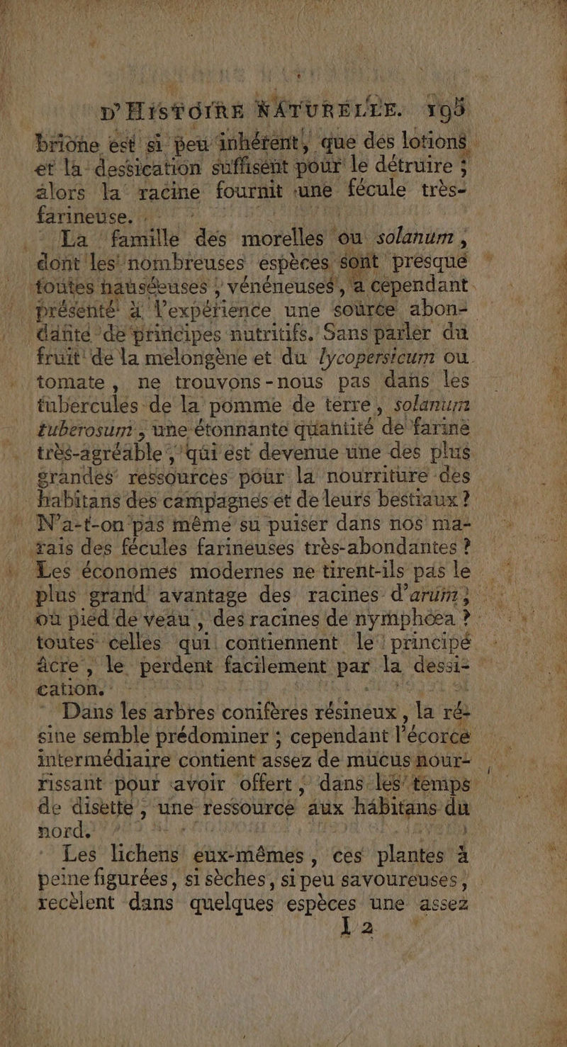 D'HISTOIRE NATURELLE. 19 et la: destication suffisent pour le détruire ; alors la racine fournit ‘une fécule très- farineuse. La famille Fe ot Ou solanum , jont présqué dañté de’ principes nutritifs. Sans parler du tomate, ne trouvons-nous pas dans les tuberculés de la pomme de terre, solaniur tuberosum , une étonnante quantité de farine grandes ressources pour la nourriture des toutes celles PU contiennent le! principé cation. Dans les arbres conifères résineux, a ré de disette , une ressource ‘aux “häbitans aa nord, ; Les tél eux-mêmes, ces plante 4 recèlent dans quelques espèces une assez La... h