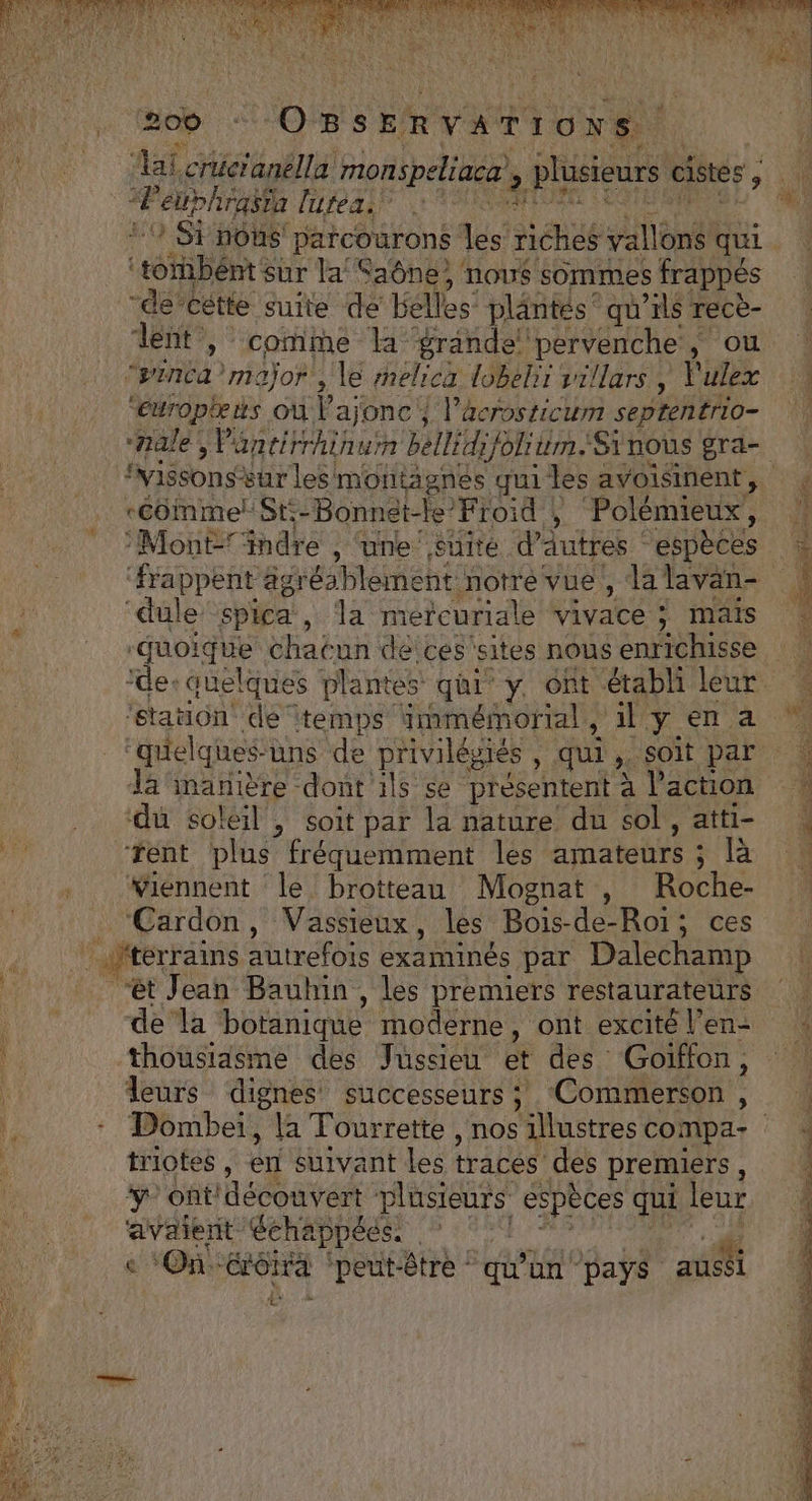 1S0b OBSERVATIONS F uphrasta lutea. (RAS sur la Saône, nous sommes frappés “de” 'cétte suite dé Hélles: plantés‘ qu'ils rece- lent, comme la grande! pervenche , où An) ‘major, le snelica lobelii villars, l'ulex “europæus où Vajonc } l’acrosticum septentrio- Ivissons: sur les montagnes qui les avoisinent, *éômme! St: -Bonnat-le” Froid , Polémieux, Mont=indre , ‘une suite d’autres espèces ‘dule spica, la mercuriale vivace ; mais ‘quelques-uns de privilégiés , qui x soit par la inmanière dont 1ls se présentent à l’action du soléil , soit par la nature du sol, atti- ‘rent plus” fréquemment les LHateuts : ; là Wiennent le brotteau Mognat , Roche- Cardon, Vassieux, les Bois-de-Roi; ces dela botanique moderne, ont excité l’en- leurs dignes successeurs ; Commerson ; triotes , en Suivant les tracés des premiers, ÿ' ont'découvert plusieurs espèces qui leur avaient Céhappées. °°! e ‘On: éroira ‘peut-être ‘ qu'un pays ah à