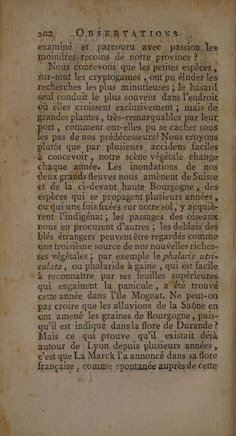 ..Nous concevons. que les petites ‘espèces , ; sur- tout les cryptogames , ont pu éluder les recherches les plus minutieuses ; le hasard seul conduit le plus souvent dans l endroit où elles croissent exclusivement ; mais de chaque année, Les inondations de nos deux grañds fleuves nous amènent de Suisse et de la ci- -deyant haute Bourgogne : » des espèces qui se propagent plusieurs années , ou qui une fois fixées sur notre sol, y acquiè- tent, l’indigénat ; les passages des OlsSeaux nous en procurent d’autres ; les deblais des blés étrangers peuvent être regardés comme une troisième source de nos nouvelles riches- ses végétales ; par exemple le phalarts utri- culata , Ou phalaride à gaine , qui est facile qui engainent la panicule, a été trouvé cette année dans l’île Mognat. Ne peut-on pas croire que les alluyions de la Saône en ont amené les graines de Bourgogne, puis- qu’il est indiqué dans la flore de Durande ? Mais ce qui prouve qu'il existait déjà c’est que La Marck l’a annoncé dans sa flore française , comme spontanée auprèsde cette ER Pt nee Le à RS