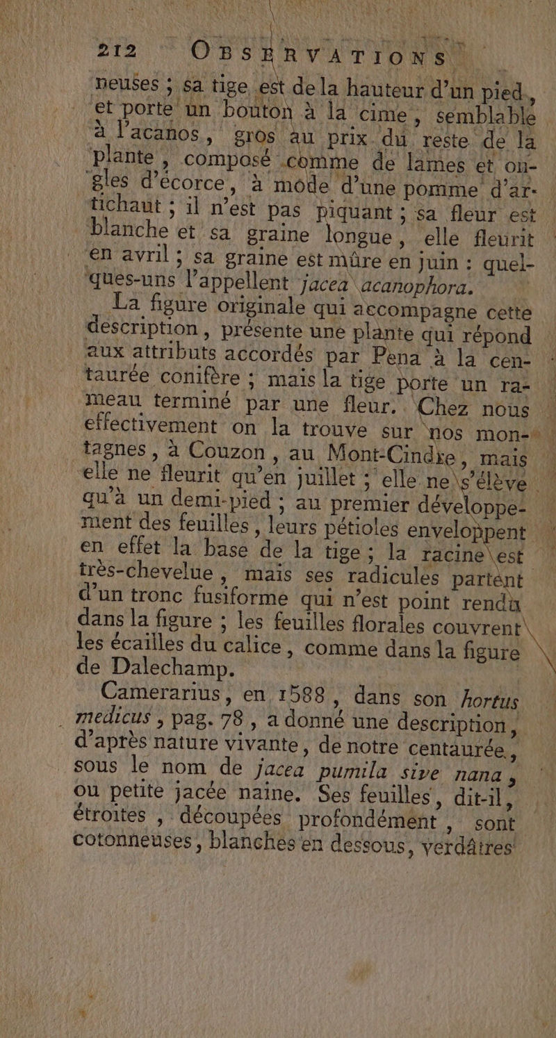VASREUT 4 4 | Li GR te RE HS 212 OBSERVATION À: TO neuses ; sa tige est de la hauteur d’un pied,, et porte un bouton à la cime , semblable à l’acanos, gros au prix du reste de la plante, composé comme de lames et on- tchaut ; il n’est pas piquant ; Sa fleur est blanche et sa graine longue, elle fleurit en avril; sa graine est müre en Juin : quel- ‘ques-uns l’appellent jacea acanophora. R La figure originale qui accompagne cette description, présente une plante qui répond ‘taurée conifère : mais la tige porte un ra- meau terminé par une fleur, Chez nous tagnes, à Couzon, au Mont-Cindie, mais elle ne fleurit qu’en juille qu'à un demi-pied ; au premier développe- très-chevelue , maïs ses radicules partént d’un tronc fusiforme qui n’est point rendu dans la figure ; les feuilles florales couvrent les écailles du calice, comme dans la figure de Dalechamp. : | Camerarius, en 1588, dans son hortus \ d’après nature vivante, de notre centaurée ; sous le nom de jacea pumila sive nana y Ou petite jacée naine. Ses feuilles, dit-il, étroites , découpées profondément , sont Cotonneuses, blanches en dessous, verdäires