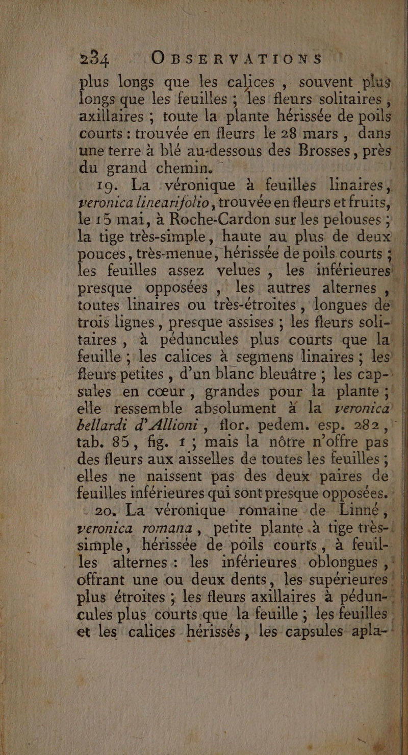 longs que les feuilles ; les fleurs solitaires ; du grand chemin. 19. La véronique à feuilles linaires , veronica linearifolio, trouvée en fleurs et fruits, le 15 mai, à Roche-Cardon sur les pelouses ; la tige très-simple ; haute au plus de deux toutes linaires ou très-étroites , longues dei taires , à péduncules plus courts que la! feuille ; les calices à segmens linaires ; les) fleurs petites , d’un blanc bleuâtre ; les cap- sules en cœur, grandes pour la plante ;: bellardi d’Allioni , flor. pedem. ‘esp. 282, tab. 85, fig. 1 ; mais la nôtre n'offre pas des fleurs aux aisselles de toutes les feuilles ; ; elles ne naissent pas des deux paires de feuilles inférieures qui Sont presque opposées. | 20. La véronique romaine de Linné ” veronica romana, petite plante .à tige très-! simple, hérissée de poils courts, à feuil-. les alternes: les inférieures oblongues ,® = vp0 Rene er meme el en sneur sa rrmmncremnre
