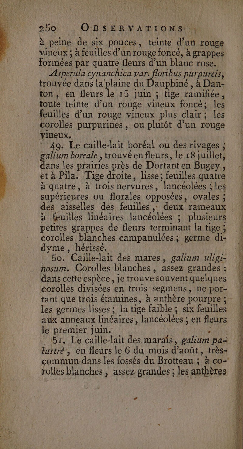 à peine. de six pouces, teinte fe rouge vineux ; à feuilles d’un rouge foncé, à grappes formées par quatre fleurs d’un blanc rose. Asperula cynanchica var. floribus pur pureis, trouvée dans la plaine du Dauphiné , à Dan- ton, en fleurs le 15 juin ; tige ramifiée $ toute teinte d’un rouge vineux foncé; les feuilles d’un rouge vineux plus clair, les corolles purpurines, ou plutôt d’un rouge vineux, 49. Le caille-lait boréal ou des rivages ; galium boreale , trouvé en fleurs, le 18 juillet, dans les prairies près de Dortant en Bugey , et à Pila, Tige droite, lisse; feuilles quatre à quatre, à trois nervures, ‘lancéolées ; les supérieures ou florales opposées, ovales : ; des aisselles des feuilles ,: deux rameaux à feuilles linéaires lancéolées ; plusieurs petites grappes de fleurs terminant la tige ; corolles blanches campanulées; germe di- dyme, hérissé. Bo. Caille-lait des mares, galium uligi- nosum. Corolles blanches, assez grandes : dans cette espèce , je trouve souvent quelques corolles divisées en trois segmens, ne por- les germes lisses ; la tige faible ; six feuilles aux anneaux linéaires , lancéolées ; en fleurs le premier juin. 51, Le caille-lait des. marais, galium pa= lustre, en fleurs le 6 du mois d'août, très- rolles blanches, assez grandes ; les anthères ner ef + RE ae  Un &lt; IPN GT EN) Re # AS PS PSE RE D NS TIR de Care RES