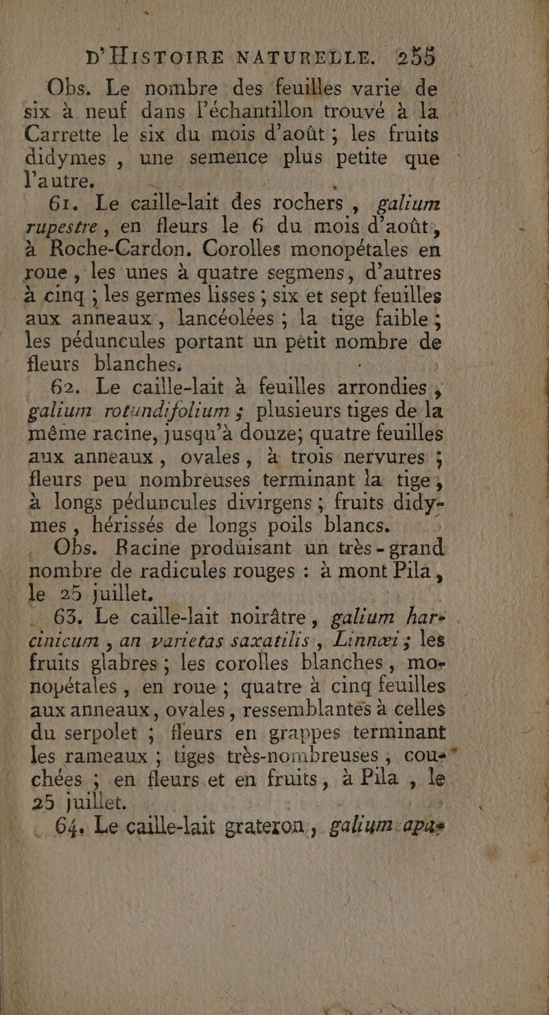 PA D'HISTOIRE NATURELLE. 2% Obs. Le nombre des feuilles varie de six à neuf dans l’échantillon trouvé à la. Carrette le six du mois d'août ; les fruits didymes , une semence plus petite que l’autre. 61. Le caille-lait des rochers » galium rupestre , en fleurs le 6 du mois d'août, à Roche-Cardon. Corolles monopétales en roue , les unes à quatre segmens, d’autres à cinq ; les germes lisses ; six et sept feuilles aux anneaux, lancéolées : ; la tige faible; les péduncules portant un pétit nombre de fleurs blanches, . 62. Le caïlle-lait à feuilles NU ; galium rotundifolium ; ; plusieurs tiges de la même racine, jusqu’à ses quatre feuilles aux anneaux, ovales, 4 trois nervures ; fleurs peu nombreuses AE la tige, à longs péduncules divirgens ; fruits didy- mes , hérissés de longs poils blancs. Obs. Racine produisant un très - grand nombre de radicules rouges : à mont Pila, le 25 juillet, . 63. Le caille-lait noirâtre, galium har- cinicum , an varietas saxatilis, Linnærï; les fruits elabres : ; les corolles blanches, mo- nopétales , en roue ; quatre à cinq feuilles aux anneaux, ovales, ressemblantes à celles du serpolet ; fleurs en grappes terminant les rameaux ; tiges très-nombreuses ; cous chées ; en fleurs et en fruits, à Pila , 1e 25 juillet. . 64. Le caille-lait grateron, galum: apas