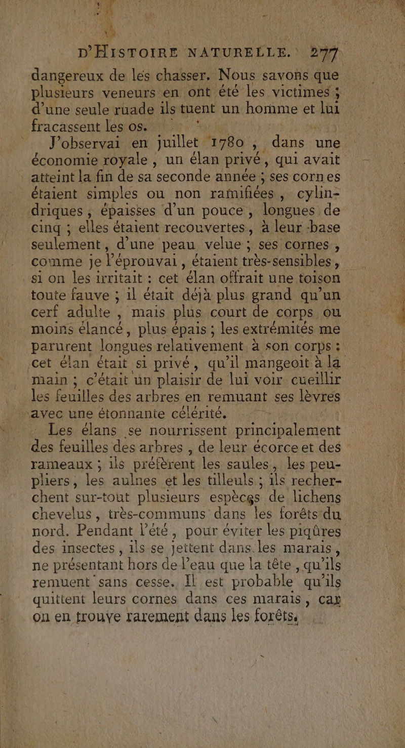 ge 4 LORS 1 + (4 13 AD x i pu D'HISTOIRE NATURELLE. 297. plusieurs veneurs en ont été les victimes ; d’une seule ruade ils tuent un homme et lui fracassent les os. ï Jobservai en juillet 1780 ; dans une économie royale , un élan privé. , Qui avait atteint la fin de sa seconde année ; ses cornes étaient simples où non rafnifièes , cylin- driques , épaisses d’un pouce, longues de cinq ; elles étaient recouvertes, à leur base seulement, d'une peau velue ; ses cornes , comme Je Ve éprouvai, étaient très-sensibles, si on les irritait : cet élan offrait une toison toute fauve ; il était déjà plus grand qu'un cerf adulte , mais plus court de corps ou moins élancé, plus épais ; les extrémités me parurent longues relativement à son COrps ? cet élan était si privé, qu'il mangeoit à la main ; C “était un plaisir de lui voir cueillir _ les feuilles des arbres en remuant ses lèvres “avec une étonnante célérité, Les élans se nourrissent principalement des feuilles des arbres , de leur écorceet des rameaux ; ils préfèrent les saules, les peu- phers, les aulnes et les tilleuls ; ils recher- chent sur-tout plusieurs espèces de lichens chevelus, très-communs dans les forêts du nord. Pendant l'été, pour éviter les piqûres des insectes , 1ls se jettent dans.les marais, ne présentant hors de l’eau que la tête ; qu ils remuent sans cesse. Îl est probable qu'ils quittent leurs cornes dans ces marais, cay on en trouve rarement dans les forêts à