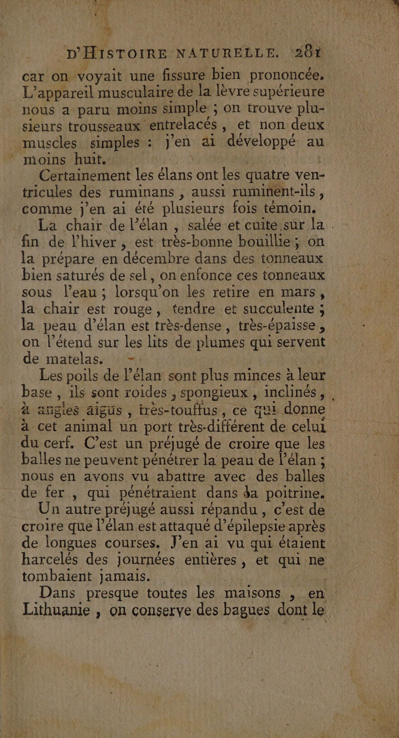 ia à | car on voyait une fissure bien prononcée. L'appareil musculaire de la lèvre supérieure nous a paru moins simple ; on trouve plu- sieurs trousseaux “entrelacés , et non deux muscles simples : j'en ai développé au moins huit. Certainement les ch ont les quatre ven- tricules des ruminans ,; aussi ruminent-1ls ’ comme j'en ai été plusieurs fois témoin. La chair de l’élan , salée et cuite sur la . fin de l'hiver , est très-bonne bouillie : ; on la prépare en décembre dans des tonneaux bien saturés de sel, on enfonce ces tonneaux sous l’eau ; lorsqu’ on les retire en mars, fa chair est rouge, tendre et succulente ; ; la peau d’élan est très-dense, très-épaisse , on l’étend sur les lits de plumes qui servent de matelas, -. Les poils de l'élan: sont plus minces à leur base : ils sont roides ; Spongieux , inclinés, , à angies aigus 4 tres- Re , ce qu donne à cet animal un port très-difrérent de celui du cerf. C’est un préjJugé de croire que les balles ne peuvent pénétrer la peau de l’élan ; nous en avons vu abattre avec des balles de fer , qui pénétraient dans da poitrine. Un autre préjugé aussi répandu , c'est de croire que l’élan est attaqué d’ épilepsie après de longues courses, J'en ai vu qui étaient harcelés des journées entières, et UE ne tombaient jamais. | Dans presque toutes les maisons » en Lithuanie , on conserve des bagues aonl le