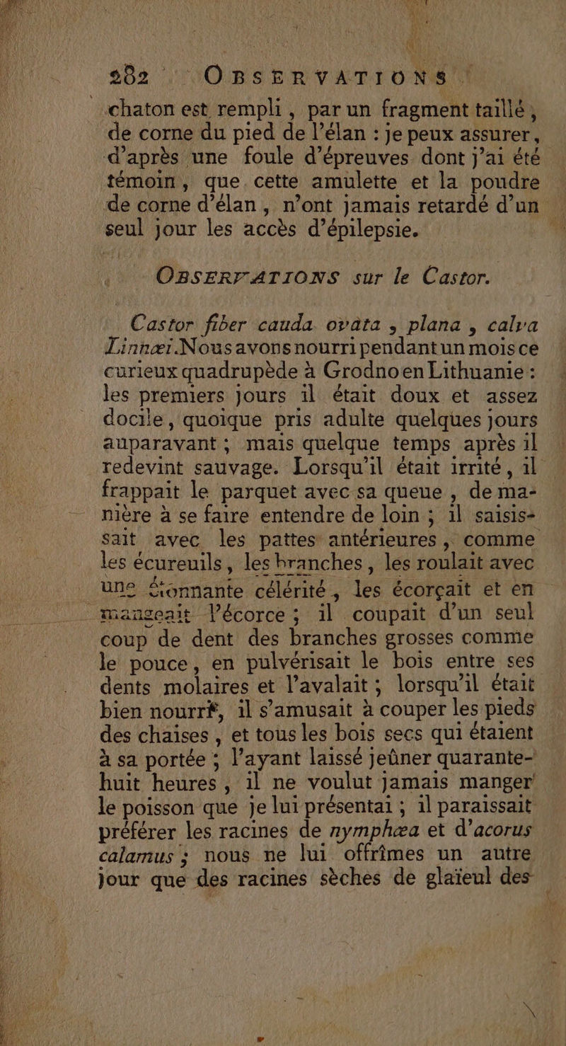 282 . OBSERVATIONS chaton est rempli, par un fragment taillé, de corne du pied de l’élan : je peux assurer, d’après une foule d'épreuves dont j’ai été témoin, que. cette amulette et la poudre de corne d’élan, n’ont jamais retardé d’un seul jour les accès d’épilepsie. OBSERFATIONS sur le Castor. Castor fiber cauda. ovata , plana , calsa Linnæi.Nousavonsnourripendantun mois ce curieux quadrupède à Grodnoen Lithuanie : les premiers Jours il était doux et assez docile, quoique pris adulte quelques jours auparavant; mais quelque temps après il redevint sauvage. Lorsqu'il était irrité, 1l frappait le parquet avec sa queue , de ma- nière à se faire entendre de loin ; il saisis: Sait avec les pattes antérieures, comme les écureuils, les branches, les roulait avec une Sonnante célérité, les écorçait et en . mangeait lécorce ; il coupait d’un seul coup de dent des branches grosses comme le pouce, en pulvérisait le bois entre ses dents molaires et l’avalait; lorsqu'il était bien nourrË, il s'amusait à couper les pieds des chaises , et tous les bois secs qui étaient à sa portée ; l’ayant laissé jeûner quarante- huit heures, il ne voulut jamais manger le poisson que je lui présentai ; il paraissait préférer les racines de 7ymphæa et d’acorus calamus ; nous ne lui offrîmes un autre jour que des racines sèches de glaïeul des