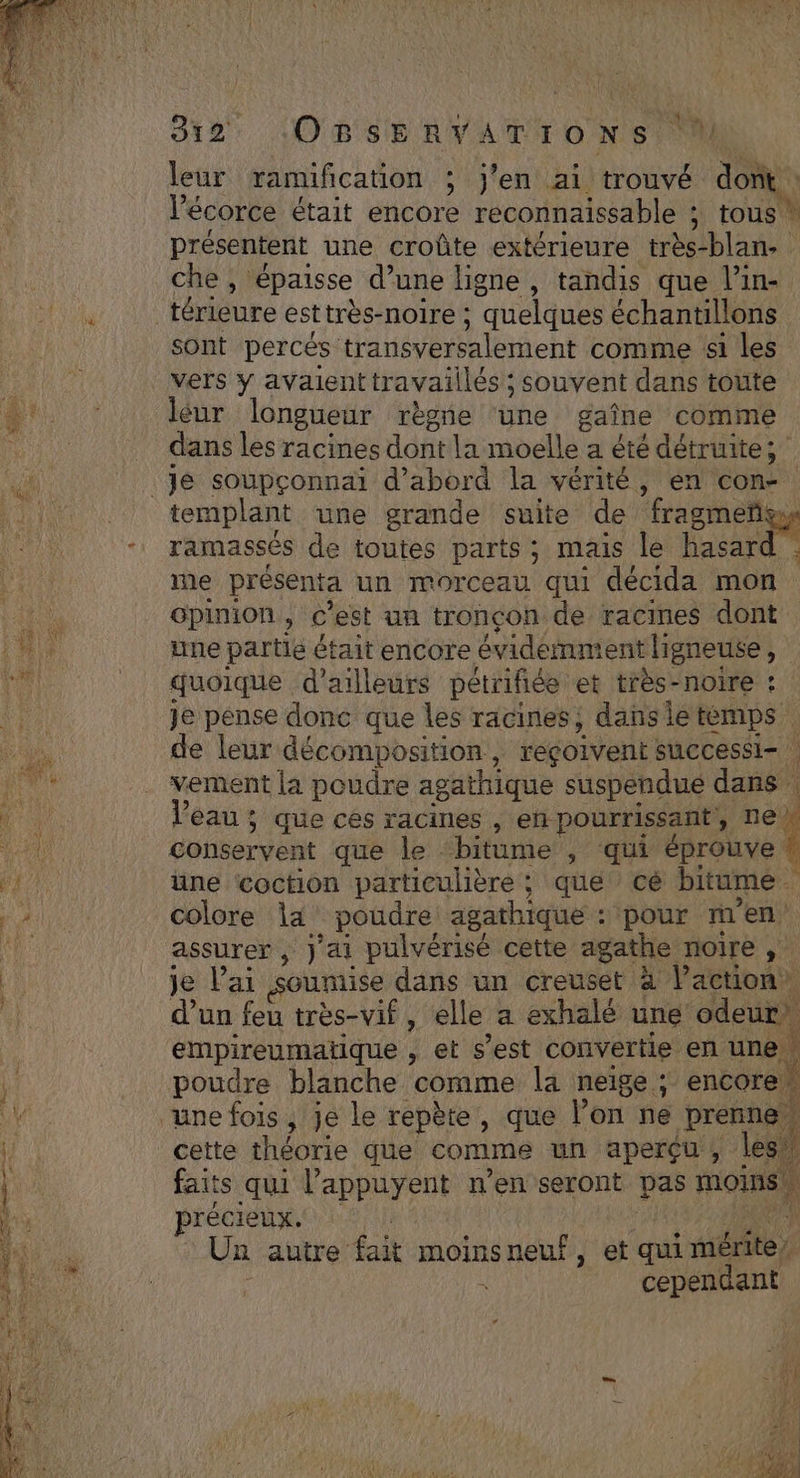 leur ramification ; j'en ai trouvé dom l’écorce était encore reconnaissable ; tous présentent une croûte extérieure Re che, épaisse d’une ligne, tandis que l’in- … térieure esttrès- -noire ; “quelques échantillons sont percés transversalement comme si les vers y avaienttravaillés ; souvent dans toute léur longueur règne ‘une gaîne comme dans les racines ddbt la moelle a été détruite; Je soupçonnai d’abord la vérité, en con- templant une grande suite de fragmeñs : ramassés de toutes parts; mais le RE ie présenta un morceau qui décida mon ' opinion si est un tronçon de racines dont GE) une partie était encore évidéimment ligneuse 1 _ quoique d’ailleurs pétrifiée et très-noire : Je pense donc que les racines, danse temps ‘ de leur décomposition, reçoivent successi- HUl . vement la poudre agathique suspendue dans “HU Veau ; que ces racines , en pourrissant, ne Hi conservent que le bitume , qui éprouve ! FH üne coction particulière ; que cé bitume . de colore 1a poudre agathique : :‘pour mn en Je assurer , Jai pulvérisé cette agathe noire je lai soumise dans un creuset à l’action d’un feu très-vif, elle a exhale une + empireumatique , et s’est convertie en une, poudre blanche comme la neige ; encore. Le une fois , je le repère, que l’on ne pe \/ cette théorie que comme un aperçu , les” faits qui l’appuyent n’en seront pas oinea précieux. Un autre fait moins neuf , et qui PT cependant