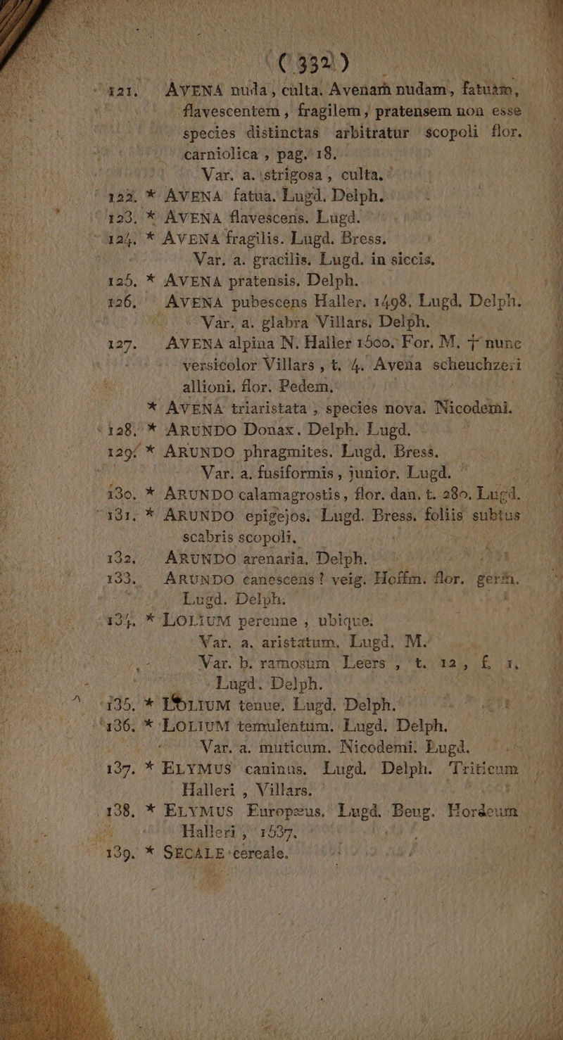 (a il AYENA nuda, culta. Avenarh nudam, fatutte, _flavescentem , fragile pratensem non esse | species distinctas arbitratur scopoli flor. carniolica , pag. 18. * AVENA triaristata , species nova. Nicodemi. Var. a. istrigosa, culta. ? ! : Ni 122. * AVENA fatua. Lugd. Delph. ETS » 123. * AVENA flavescens, Lugd. nt L 124, * AVENA fragilis. Lugd. Bress, ? 00 Var. à. gracilis. Lugd. in siccis. ' 125, * AVENA pratensis, Delph. ‘À 126. AVENA pubescens Haller, 1498, Lugd, Delph. f Lie Var. a. glabra Villars: Delph. Î 127. AVENA alpina N. Haller 1500, For, M. oune 4 versicolor Villars , &amp; 4 Avena scheuchzeri 4 allioni. flor. Pedem, : ‘À 128. * ARUNDO Donax. Delph. Lugd. | ‘ 129/ * ARUNDO phragmites, Lugd, Bress. ‘# Var. 2. fusiformis , junior. Lugd. | AU D 130, * ARUNDO calamagrostis, flor. dan, t. 280. Lusd. 19 de “181. * ARUNDO epigejos. Lugd. Bress, folie subtus A scabris scopoli, | AAA d 132. ARUNDO arenaria. Delph.! 1” CHEL 4 133. ARUNDO canescens ! veig. Hoffm. flor. gerñ. à Lugd. Delph. RER 4 493%. * LOLIUM perenne , ubique. | MAT 4 Var. a. aristatum. Lugd. M*' .. 1 À Var. b ramosüm Leers ; ‘t.\ta}, £ Fr) 4 Lugd. Delph. JT EST Re 1235. * EOLIUM tenue. Luyd. Delph. La 17 PE À! ‘196, * ‘LOLIUM temulentum. Eugd. Delph. ë\ 31 F0 Var, a. muticum. Nicodemi. Eugd. 1 ‘4 137. * ELYMUS caninus. Eugd. Deélph. Triticum Pa Halleri , Villars. 6 R SAERSS 1938, * ELYMUS Europæus, ra À Beug. Hordeum, #2 ï Halleri , 1537. | +53 139. * SÉCALE ‘cereale. {E | | | là