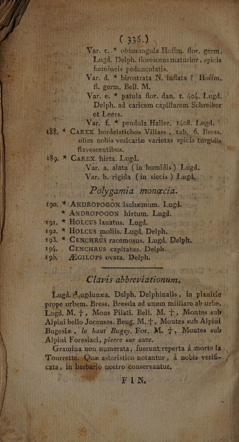 F4 ar. ©. * obtusangula Hoffm. for. gérm Lugd. Delph. florescens maturior , die fœemineis pedunculatis. A d. * birostrata N.'inflata ? Hoffm. Né fi. germ, Bell. M. | M Var. ei * patula flor. dan, t. 404. Lugd. AS Delph. ad caricem capillarem ie +4 et Leers. ss 16 | Ve f, * pendula Haller. 1408. REA À LA Fr CAREX “hordeistichos Villars , tab. #04 An té olim nobis vesicariæ varietas spicis bridis lavescentibus, PERTE Le, A a. ae Te in humidis) Lie Var. b. rigida Gin siccis ) Lugd,, : A Pol lgamia monœcia. “ Là F { RE MAT NE 190: ,*: :ANDROPOGON ischémim, Lugd. - __ * ANDROPOGON hirtum. Lugd. 4, 21 #02 * HOLCUS lapatus. Lugd, 562 2:40) D 392. * Horcus mollis. Lugd. Delph. Fa CE 193. * CENCHRUS racemosus. Lugd. Dee LIMITENT D 194 | CENCHRUS capitatus. Delph.. 23016. x $ Ati 198, # FRGUÈNES ovata, Belph. | AE LP CU RE % se TR M np PA RE = Clavis abbreviationum. ta d. FRANS Delph. Delphinalis , ; in pentes Li prope: A Mo Bress. Bressia ad unum milliare ab urbe, : Ti Lued. M. +, Mons Pilati. Bell. M. +, Montes sub, Alpini bello Jocenses. Beug. M. 4 Montes sub Alpini Bugesiæ , de haut Bugey. For. M. ri, Montes sub! Alpini Foresiaci, pierre sur aute. AP Me Gramina non numerata, fuerunt, reperta 43 morte la. }, ne - b noëtro lconservantur, NC PE