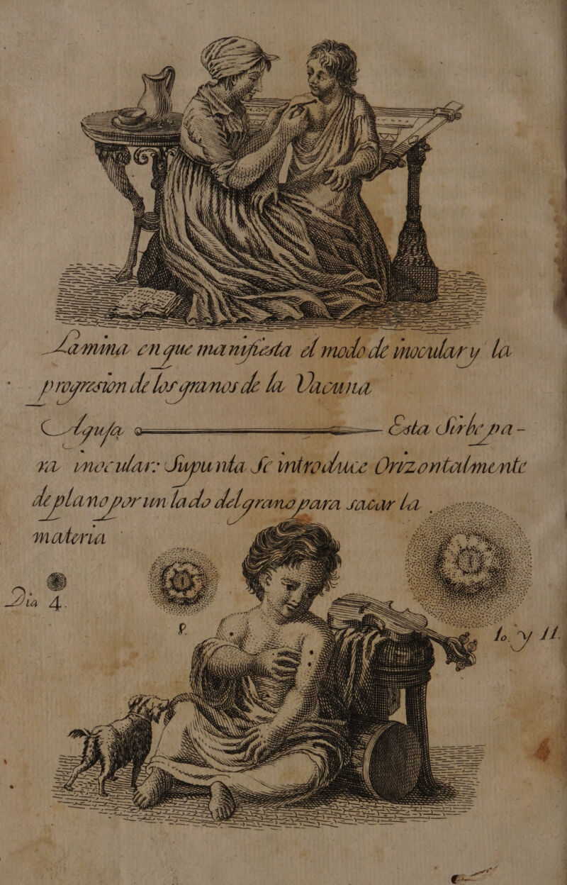 duisi MM — A Pao = E p rr == — A E I AAA Á a AAA Á 7 ———À————L—— “== LEN: > » . ra : _ progresión de los anos de la Vacuna Es | EL mocular: Jupu nta Se troduce Onzontalmente leplanop un lado | d grano para sacar la. — natmia >