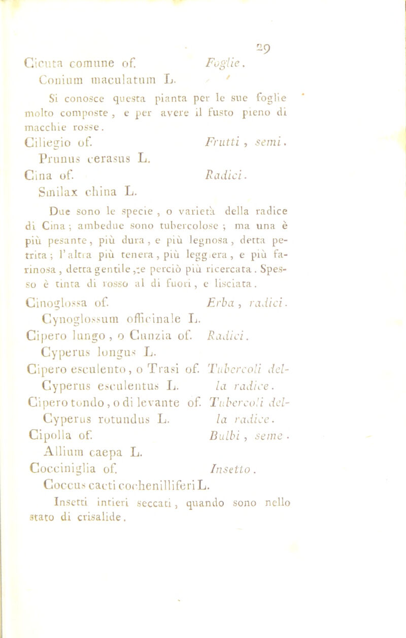 Cicuta comune of. Foglie. Commn maculatimi L. Si conosce questa pianta per le sue foglie molto composte , e per avere il fusto pieno di macchie rosse. Smilax china L. Due sono le specie , o varietà della radice di Cina ; ambedue sono tubercolose ; ma una è più pesante, più dura, e più legnosa, detta pe- trita ; l’altra più tenera, più leggera, e più fa- rinosa, detta gentile ,;e perciò più ricercata. Spes- so è tinta di rosso al di fuori, e lisciata. Cinoglossa of. Erba, radici. Cynoglossum officinale L. Cipero lungo, o Cunzia of. Radici. Cyperus longus L. Cipero esculento, o Trasi of. Tubercoli dcl- Cyperus esculentus L. la radice. Cipero tondo, o di levante of. Tubercoli dcl- Gyperus rotundus L. la radice. Cipolla of. Bulbi , seme • Alliurn caepa L. Cocciniglia of. Insetto. Coccus cacti cochenilliferiL. Insetti intieri seccati, quando sono nello stato di crisalide. Ciliegio of. Frutti , semi. Prunus cerasus L. Cina of. Radici.