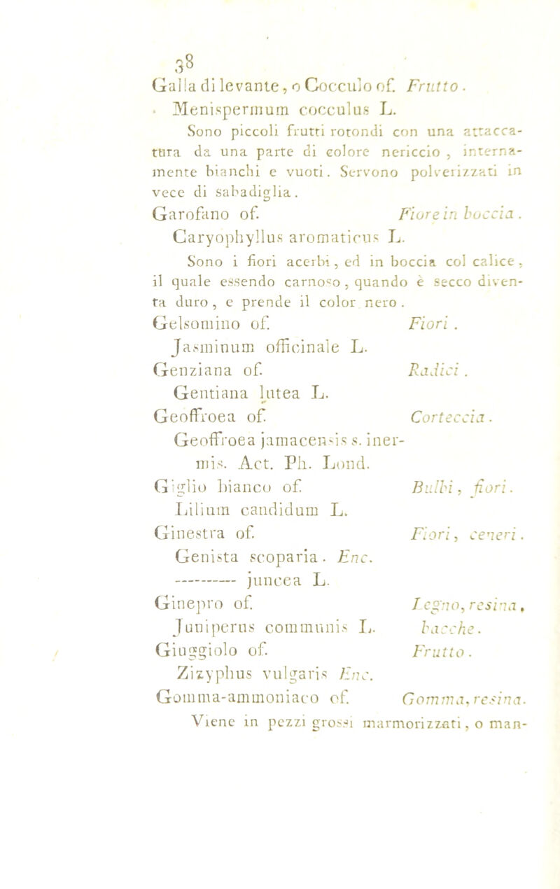 Galla di levante, o Gocculo of. Frutto. Menispermum cocculus L. Sono piccoli frutti rotondi con una attacca- tura da una parte di colore nericcio , interna- mente bianchi e vuoti. Servono polverizzati in vece di sabadiglia. Garofano of. Fiore in buccia . Caryophyllus aromaticus L. Sono i fiori acerbi, ed in boccia col calice, il quale essendo carnoso , quando e secco diven- ta duro , e prende il color nero . Gelsomino of. Fiori . Jasminum officinale L. Genziana of. Radici. Gentiana lutea L. Geoffroea of Corteccia. Geoffi'oea jamacenns s. iner- mis. Act. Ph. Lond. Giglio bianco of Lilium candidum L. Ginestra of. Genista scoparia. Enc. — juncea L. Ginepro of. Juniperns comtnnnis li. Giuggiolo of. Zizyphus vulgaris Fnc. Gomma-ammoniaco o f. Bulbi, ilari. Fiori, ceneri. degno, resina. bacche. Frutto . Gomma, resina. Viene in pezzi grossi marmorizzati, o man-