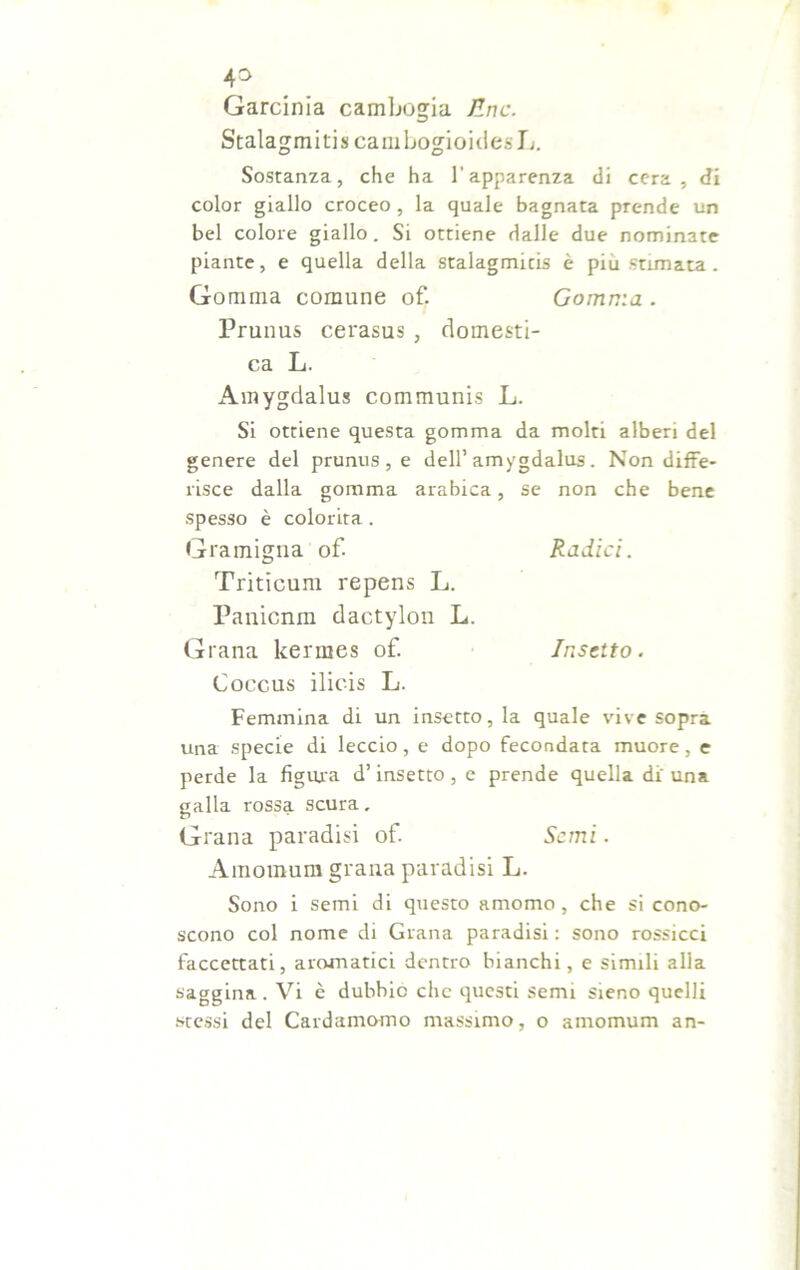Garcinia Cambogia Erte. Stalagmiti» cani bogioidesL. Sostanza, che ha l'apparenza di cera, di color giallo croceo , la quale bagnata prende un bel colore giallo. Si ottiene dalle due nominate piante, e quella della stalagmiti è piu stimata . Gomma comune of. Gomma . Prunus cerasus , domesti- ca L. Amygdalus communis L. Si ottiene questa gomma da molti alberi del genere del prunus, e dell’ amygdalus. Non diffe- risce dalla gomma arabica, se non che bene spesso è colorita. Gramigna of. Radici. Triticum repens L. Panicnm dactylon L. Grana kermes of. Insetto. Coccus ilicis L. Femmina di un insetto, la quale vive sopra una specie di leccio, e dopo fecondata muore, e perde la figura d’insetto , e prende quella di una galla rossa scura. Grana paradisi of Semi. Amomum grana paradisi L. Sono i semi di questo amomo, che si cono- scono col nome di Grana paradisi : sono rossicci faccettati, aromatici dentro bianchi, e simili alla saggina . Vi è dubbio che questi semi sieno quelli stessi del Cardamomo massimo, o amomum an-