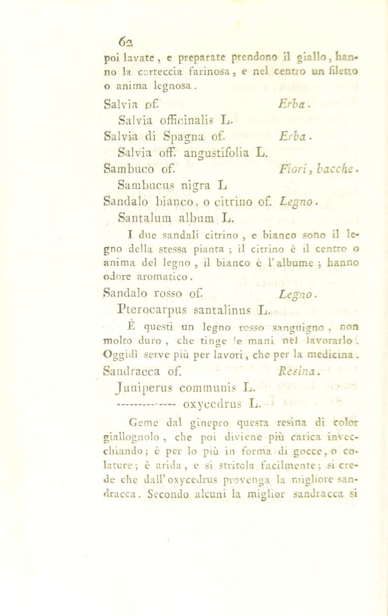 poi lavate , e preparate prendono il giallo , han- no la corteccia farinosa, e nel centro un filetto o anima legnosa. Salvia pf. Erba- Salvia offioinalis L. Salvia di Spagna of. Erba • Salvia off. angustifolia L. Sambuco of. Fiori, bacche- Sambucus nigra L Sandalo bianco, o citrino of. Legno- Santalum album L. I due sandali citrino , e bianco sono il le- gno della stessa pianta ; il citrino è il centro o anima del legno , il bianco è 1’ albume ; hanno odore aromatico. Sandalo rosso of. Legno. Pterocarpus santalinus L. E questi un legno rosso sanguigno , non molto duro , che tinge ’e mani nel lavorarlo . Oggidì serve più per lavori, che per la medicina. Sandracca of. Resina. Juuiperus communis L. oxycedrus L. Geme dal ginepro questa resina di color giallognolo , che poi diviene più carica invec- chiando; è per lo più in forma di gocce, o co- lature; è arida, e si stritela facilmente; si cre- de che dall’oxycedrus provenga la migliore san- dracca. Secondo alcuni la miglior sandracca si