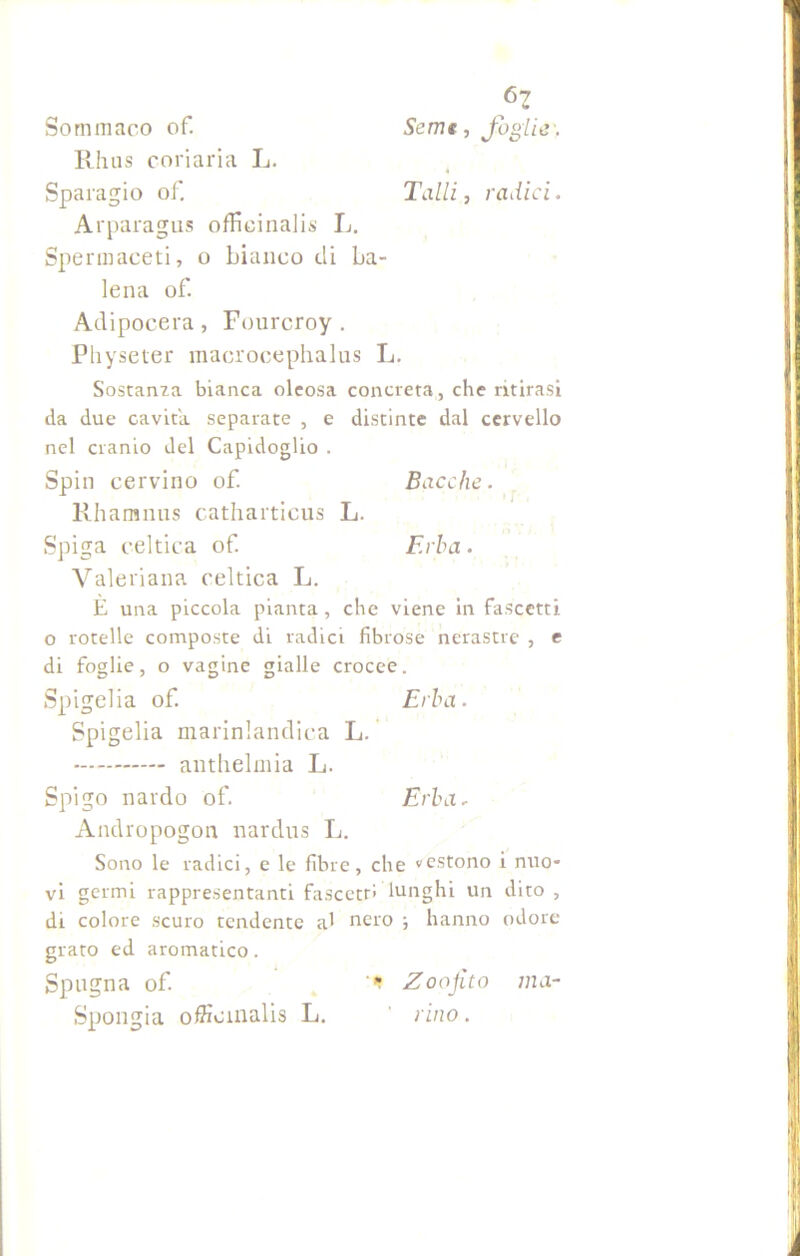 Sommaco of. Sem e, foglie. Rhus coriaria L. Sparagio of. Talli, radici. Arparagus officinali* L. Spermaceti, o bianco di ba- lena of. Adipocera, Fourcroy . Physeter macrocephalns L. Sostanza bianca oleosa concreta, che ritirasi da due cavita separate , e distinte dal cervello nel cranio del Capidoglio . Spin cervino of. Bacche. Rhamnus catharticus L. Spiga celtica of. Erba. Valeriana celtica L. È una piccola pianta, che viene in fascetti o rotelle composte di radici fibrose nerastre , e di foglie, o vagine gialle crocee. Spigelia of. Erba. Spigelia marinlandica L. anthelmia L. Spigo nardo of. Erba- Andropogon nardus L. Sono le radici, e le fibre, che vestono i nuo* vi germi rappresentanti fascetr» lunghi un dito , di colore scuro tendente al nero ; hanno odore grato ed aromatico. Spugna of. * Zoofito ma- Spongia officinalis L. rino .