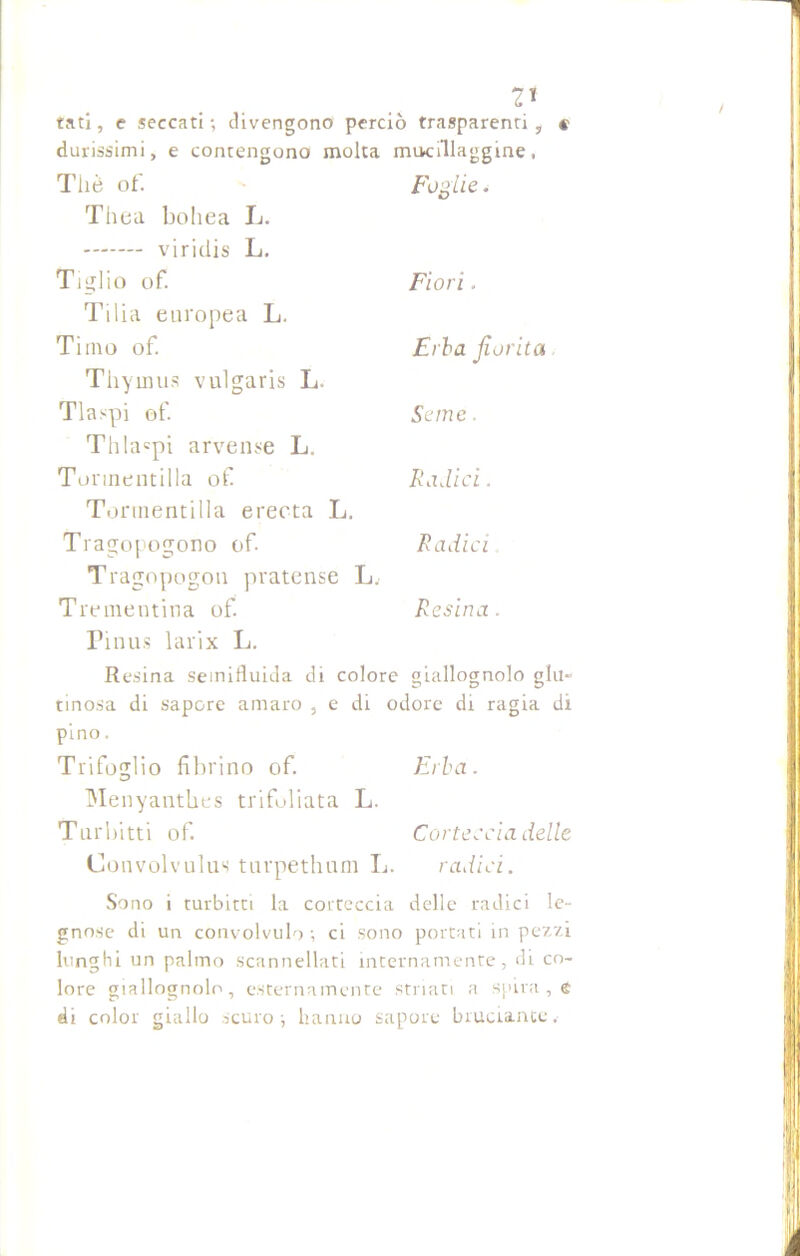 2* tati, e seccati -, divengono perciò trasparenti , « durissimi, e contengono molta mucillaggine, Thè of. Foglie. Thea bohea L. viridis L. Tiglio of. Tilia europea L. Timo of. Thyuius vulgaris L. Tlaspi of. Thla®pi arvense L. Torinentilla of Torinentilla erecta L. Tragopogono of Tragopogon pratense L. Trementina of. Pinus larix L. Fiori . Erba fiorita Scine. Radici. Radici Resina. Resina semifluida di colore giallognolo glu- tinosa di sapore amaro , e di odore di ragia di pino. Trifoglio librino of. Erba. Menyantbes tribbiata L. Turbini of Corteccia delle Convolvulus turpethum L. radici. Sono i turbitti la corteccia delle radici le- gnose di un convolvulo ; ci sono portati in pezzi lunghi un palmo scannellati internamente, di co- lore giallognolo, esternamente striati a spira , e di color giallo scuro; hanno sapore bruciante.