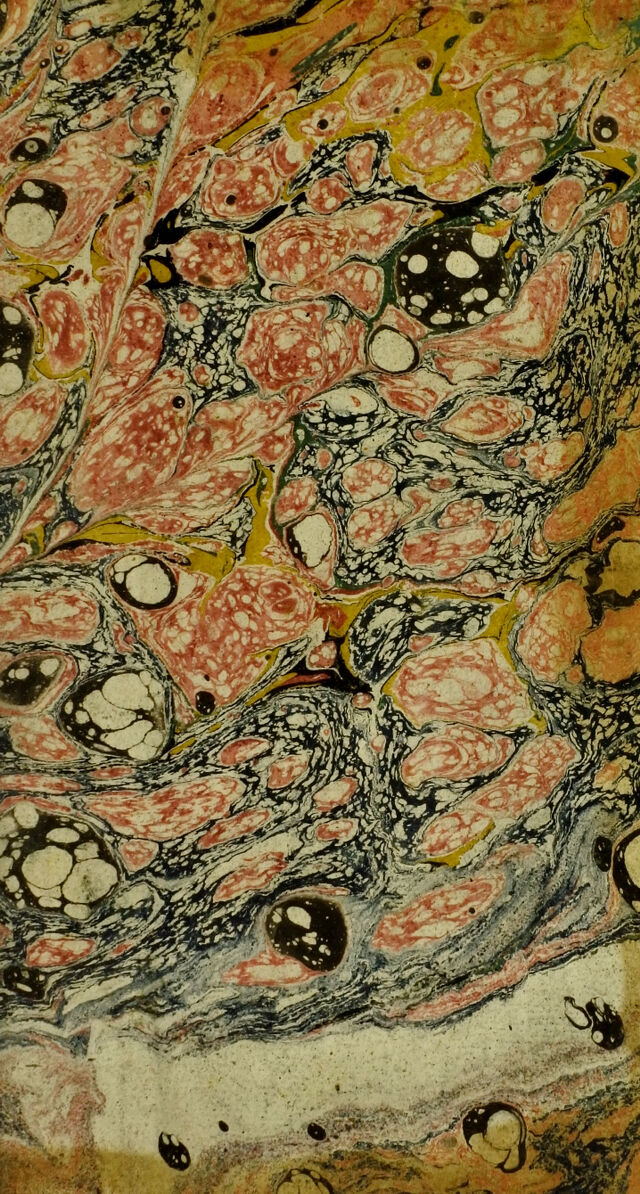 digitised image 3