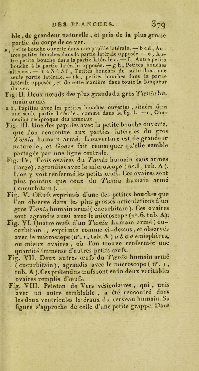 Lie , de grandeur naturelle , et pris de la plus grosse partie du corps de ce ver. a , Petite bouche ouverte dans utie papille latérale. — b c d, Au- tres petites bouches dans la partie latérale opposée. — e, Au- tre petite bouche dans la partie latérale a. — 1, 4utre petite bouche à la partie latérale opposée. — g h , Petites bouches alternes. — 1 2 3 4 5 6, Petites bouches de suite dans une seule partie latérale. — i k , petites bouches dans la partie latérale opposée , et de cette manière dans toute la longueur du ver. Fjg. II. Deux nœuds des plus grands du gros Tœnia hu- main armé. ah , Papilles avec les petites bouches ouvertes , situées dans une seule partie latérale, comme dans la fig. 1. —c, Cou-*» nexion réciproque des anneaux. Fig. III. Une des papilles avec la pelite bouche ouverte, que l’on rencontre 3ux parties latérales du gros Tœnia humain armé. L’ouverture est de grandeur naturelle, et Goeze fait remarquer qu’elle semble partagée par une ligne centrale. Fig. IV. Trois ovaires du Tœnia humain sans armes (large) , agrandies avec le microscope ( n°.I, luh. A ). L’on y voit renfermé les petits œuts. Ces ovaires sont plus pointus que ceux du Tœnia humain armé ( cucurhitain ). Fig. V. OEtifs exprimés d’une des petites bouches que l’on observe dans les plus grosses articulations d’un gros Tœnia humain armé ( cucurhitain ). Ces ovaires sont agrandis aussi avec le microscope (n°. 6, tub. A). Fig. VI. Quatre œufs d’un Tœnia humain armé (cu- curhitain , exprimés comme ci-dessus , et observés avec le microscope (n°. i, tub. A ) a b c d émisplièrcs, ou mieux ovaires , où l’on trouve renfermée une quantité immense d’autres petits œufs. Fig. VU. Deux autres œufs du Tœnia humain arme - ( cucurhitain), agrandis avec le microscope ( n°. i , tub. A ). Ces prétendus œufs sont enfin deux véritables ovaires remplis d’œufs. Fig. VIII. Peloton de Vers vésiculaires , qui , unis avec un autre semblable , a été rencontré dans les deux ventricules latéraux du cerveau humain. Sa figure s’approche de celle d’une petite grappe. Dans