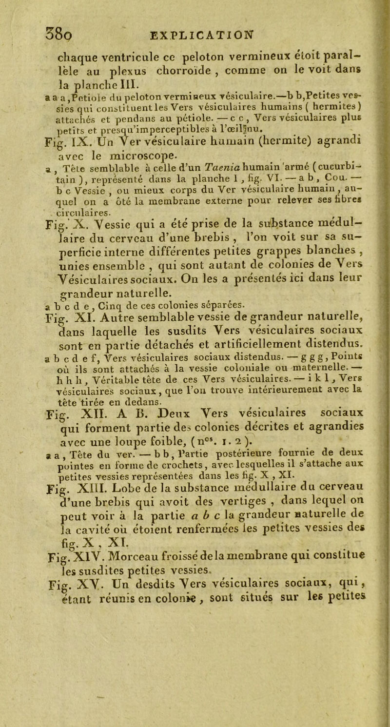 chaque ventricule ce peloton vermineux etoit paral- lèle au plexus chorroïde , comme on le voit dans la planche III. aaa Potiole du peloton vermineux vésiculaire.—b b,Petites ves- sies qui constituent les Vers vésiculaires humains ( hennîtes) attachés et pendans au pétiole.—cc, Vers vésiculaires plus petits et presqu’imperceptibles à l’œiljnu. Fig. IX. Un Ver vésiculaire humain (hermite) agrandi avec le microscope. a, Tète semblable à celle d’un Taenia humain armé (cucurbi- tain ) , représenté dans la planche 1, fig- VI. — a b , Cou. b c Vessie , ou mieux corps du Ver vésiculaire humain , au- quel on a ôté la membrane externe pour relever ses fibre* circulaires. Fig. X. Vessie qui a été prise de la substance médul- laire du cerveau d’une brebis , l’on voit sur sa su- perficie interne différentes petites grappes blanches, unies ensemble , qui sont autant de colonies de Vers Vésiculaires sociaux. On les a présentés ici dans leur grandeur naturelle. a b c d e , Cinq de ces colonies séparées. Fig. XI. Autre semblable vessie de grandeur naturelle, dans laquelle les susdits Vers vésiculaires sociaux sont en partie détachés et artificiellement distendus. a b c d e f, Vers vésiculaires sociaux distendus. — g g g, Points où ils sont attachés à la vessie coloniale ou maternelle. — h h h , Véritable tète de ces Vers vésiculaires. — i k 1, Vers vésiculaires sociaux, que l’on trouve intérieurement avec la tête tirée en dedans. Fig. XII. A B. Deux Vers vésiculaires sociaux qui forment partie des colonies décrites et agrandies avec une loupe foible, (nos. 1.2). a a, Tête du ver. —b b, Partie postérieure fournie de deux pointes en forme de crochets, avec lesquelles il s’attache aux petites vessies représentées dans les fig. X , XI. Fig. XIII. Lobe de la substance médullaire du cerveau d’une brebis qui avoit des vertiges , dans lequel on peut voir à la partie a b c la grandeur naturelle de la cavité où étoient renfermées les petites vessies des fig. X , XT. Fig. XIV. Morceau froissé delà membrane qui constitue les susdites petites vessies. Fig. XV- Un desdits Vers vésiculaires sociaux, qui, étant réunis en colonie , sont situés sur les petites