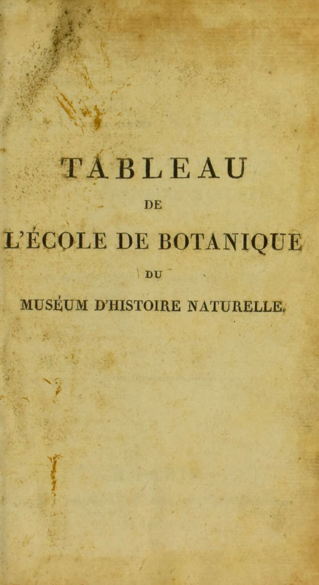digitised image 3