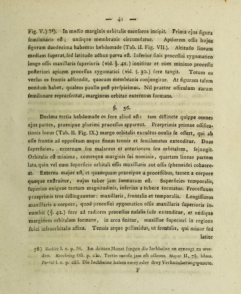 femilunaris eft ; undique membranis circumdatur. Aptiorem offis hujus figuram duodecima habemus hebdomade (Tab. II. Fig. VII.). Altitudo lineam mediam fuperat.fed latitudo adhuc parva eft. Inferior finis proceffui zygomatico longo offis maxillaris fuperioris (vid. §. 41.) innititur et cum minimo proceffu pofteriori apicem proceffus zygomatici (vid. §. 30.) fere tangit. Totum os verfus os frontis adfcendit, quocum membranis conjungitur. At figuram talem nondum habet, qualem paullo poft perfpicimus» Nil praeter ©fficulum rarum femilunare repraefentat, marginem orbitae externum formans. §. 56. Decima tertia hebdomade os fere aliud eft; tam diflincte quippe omnes ejus partes, praecipue plurimi proceffus apparent. Praeprimis primae offifica* tionis locus (Tab. II. Fig. IX.) margo orbitalis excultus oculis fe offert, qui ab offe frontis ad oppofitum usque finem tenuis et femilunatus extenditur. Duas fuperficies, externam feu malarem et anteriorem feu orbitalem, fejungit. Orbitatis eft minima, cotnesque marginis fui nominis, quartam lineae partem lata, quin vel cum fuperficie orbitali offis maxillaris aut offis fphenoidei cohaere- at. Externa major eft, et quamquam praecipue a proceffibus, tamen a corpore quoque exftruitur, cujus tuber jam formatum eft. Superficies temporalis, fuperius exiguae tantum magnitudinis, inferius a tubere formatur. Procefluum praeprimis tres diftinguuntur: maxillaris, frontalis et temporalis. Longiffimus maxillaris a corpore, quod proceffui zygomatico offis maxillaris fuperioris in- cumbit (§.42.) fere ad radicem proceffus nafalis fufe extenditur, et undique marginem orbitalem formans, in arcu finitur, maxillae fuperiori in regione fulci infraorbitalis affixa. Tenuis atque pellucidus, ut frontalis, qui minor fed latior r8) Nesbitt 1. c. p. 56. Im drittenMonat fangen die Jocbbeine an erzeugt zu wer- den. Kerchring Oft. p. o3c. Tertio menfe jam eft offeurn. Mayer II, j5. idem. Fortxl 1. c. p. 253. Die Jochbeine liabenzwey oder drey Verluroclierungspuncte. F