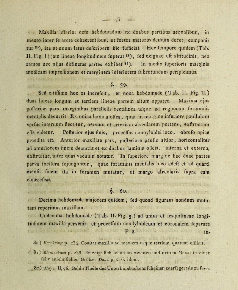 mento inter fe arcte cohaerentibus, ut foetus maturus demum docet, componi* tur 8o), ita ut unum latus deferibere hic fufficiat. Hoc tempore quidem (Tab. II. Fig. I.) jam lineae longitudinem fuperat8I), fed exiguae eft altitudinis, nec ramos nec alias diftinctas partes exhibet 8J). In medio fuperioris marginis modicam impreffionem et marginem inferiorem fubrotundum perfpicimus. §* 59- Sed citiffime hoc os increfcit, et nona hebdomade (Tab. II. Fig. TI.) duas lineas longum et tertiam lineae partem altum apparet. Maxima ejus pofterior pars marginibus parallelis rectilinea ufque ad regionem foraminis mentalis decurrit. Ex unica lamina offea , quae in margine inferiore paulluluin verfus internum flectitur, nervum et arteriam alveolarem portans, exftructuin effe videtur. Pofterior ejus finis, proceffus conoyloidei loco, obtufo apice praedita eft. Anterior maxillae pars, pofteriore paullo altior, horizontaliter ad anteriorem finem decurrit et ex duabus laminis offeis, interna et externa, exftruitur, inter quas vacuum notatur. In fuperiore margine hae duae partes parva incifura fejunguntur, quae foraminis mentalis loco adeft et ad quarti menfis finem ita in foramen mutatur, ut margo alveolaris fupra eam concrefcat. §. 60. Decima hebdomade majorem quidem, fed quoad figuram nondum muta- tam reperimus maxillam. Undecima hebdomade (Tab. II. Fig. 5.) ad unius et fesquilineae longi- tudinem maxilla pervenit, et proceffum condyloideum et coronalem feparare F 2 in- So ) Kerckring p. 234- Conftat maxilla ad menfem usque tertium quatuor offibus. 81 ) Blu7n.enba.ch p, 235. Er zeigt licii fchon im zweiten und dritten Monat in einer felir anfelmlichen Grofse. Danz p. 216. idem. 82) Mayei- II, 76. Beide Theile des Unterkinnbackens fclieinen zuerftgcrade zu feyn.