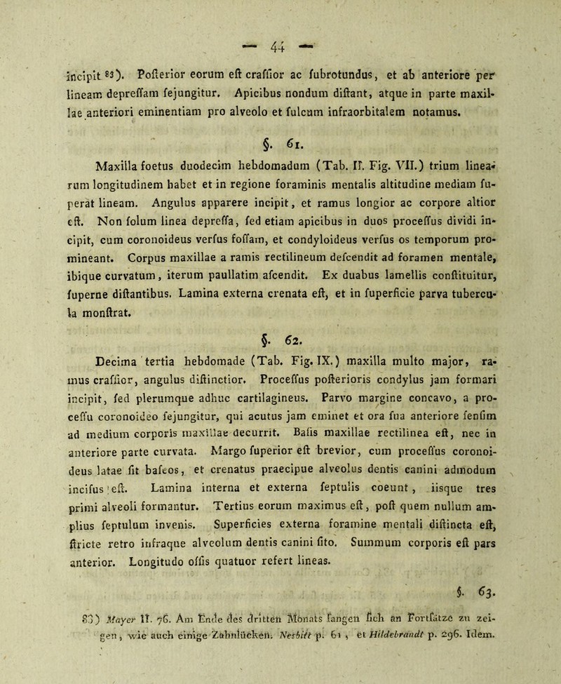 incipit 80- Pofterior eorum eft craffior ac fubrotundus, et ab anteriore per lineam depreffam fejungitur, Apicibus nondum diftant, atque in parte maxil- lae anteriori eminentiam pro alveolo et fulcam infraorbitalem notamus. §. 61. Maxilla foetus duodecim hebdomadum (Tab. II. Fig. VII.) trium linea- rum longitudinem habet et in regione foraminis mentalis altitudine mediam fu- perat lineam. Angulus apparere incipit, et ramus longior ac corpore altior eft. Non folum linea depreffa, fed etiam apicibus in duos proceffus dividi in- cipit, cum coronoideus verfus foffam, et condyloideus verfus os temporum pro- mineant. Corpus maxillae a ramis rectilineum defcendit ad foramen mentale, ibique curvatum, iterum paullatim afcendit. Ex duabus lamellis conftituitur, fuperne diftantibus. Lamina externa crenata eft, et in fuperficie parva tubercu- la monftrat. §. 62. Decima tertia hebdomade (Tab. Fig. IX.) maxilla multo major, ra- mus crafiicr, angulus diftinctior, Proceffus pofterioris condylus jam formari incipit, fed plerumque adhuc cartilagineus. Parvo margine concavo, a pro- ceffu coronoideo fejungitur, qui acutus jam eminet et ora fua anteriore fenfim ad medium corporis maxillae decurrit. Bafis maxillae rectilinea eft, nec in anteriore parte curvata. Margo fuperior eft brevior, cum proceffus coronoi- deus latae fit baftos, et crenatus praecipue alveolus dentis canini admodum incifus |eft. Lamina interna et externa feptulis coeunt, iisque tres primi alveoli formantur. Tertius eorum maximus eft, poft quem nullum am- plius feptulum invenis. Superficies externa foramine mentali diftincta eft, ftricte retro infraque alveolum dentis canini fito. Summum corporis eft pars anterior. Longitudo offis quatuor refert lineas. §• 83) May er It. 76. Am Ende cies drltteh Memats Fangell fich an Fortfatze zu zei- gen , wie auch einigc Zahnlufckeil; Neibitt p. 61 , fet Hi/debrandt p. 296. Idem.