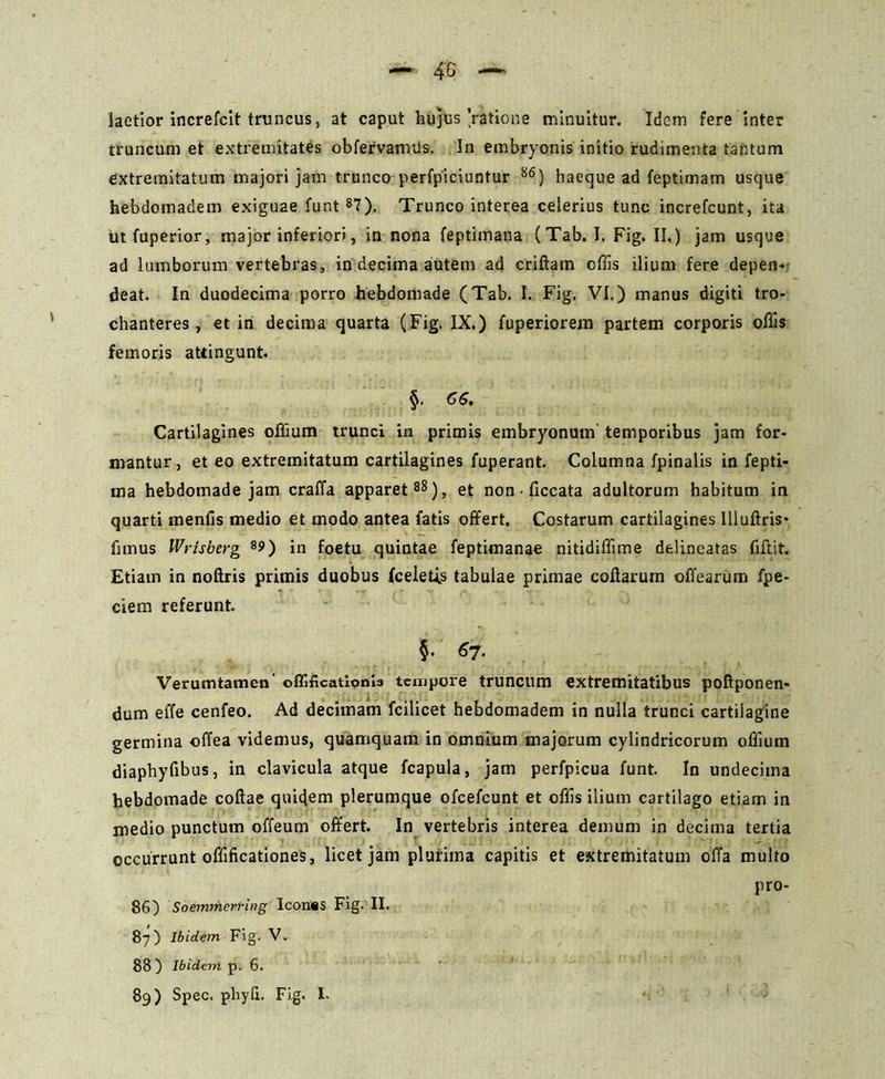 laetior increfcit truncus, at caput hujus'ratione minuitur. Idem fere inter truncum et extremitates obfervamus. In embryonis initio rudimenta tantum extremitatum majori jam trunco perfpiciuntur 86) haeque ad feptimam usque hebdomadem exiguae funt 87). Trunco interea celerius tunc increfcunt, ita Ut fuperior, major inferiori, in nona feptimana (Tab. I. Fig. II,) jam usque ad lumborum vertebras, in decima autem ad criftatn effis ilium fere depen- deat. In duodecima porro hebdomade (Tab. I. Fig. VI.) manus digiti tro- chanteres , et in decima quarta (Fig. IX.) fuperiorem partem corporis offis femoris attingunt. §. 66. Cartilagines offium trunci in primis embryonum temporibus jam for- mantur, et eo extremitatum cartilagines fuperant. Columna fpinalis in fepti- ma hebdomade jam craffa apparet88), et non • ficcata adultorum habitum in quarti menfis medio et modo antea fatis offert. Costarum cartilagines Illuftris* fimus IVrisberg s9) in foetu quintae feptimanae nitidiffime delineatas fiftit. Etiam in noftris primis duobus {celetis tabulae primae collarum offearum fpe- ciem referunt $• 57. Verumtamen’ offificatlonla tempore truncum extremitatibus poftponen- dum effe cenfeo. Ad decimam fcilicet hebdomadem in nulla trunci cartilagine germina offea videmus, quamquam in omnium majorum cylindricorum offium diaphyfibus, in clavicula atque fcapula, jam perfpicua funt In undecima hebdomade collae quidem plerumque ofcefcunt et offis ilium cartilago etiam in medio punctum offeum offert. In vertebris interea demum in decima tertia occurrunt offificationes, licet jam plurima capitis et extremitatum offa multo pro- 86) Soemmerring Icon«S Fig. II. 87) Ibidem Fig. V. 88 ) Ibidem p. 6. 89) Spec. phyli. Fig. I.