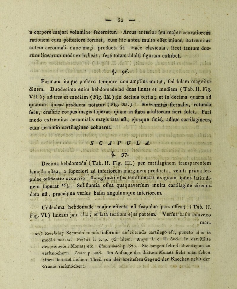 a corpore majori volumine fecernitur. Arcus anterior feu major a curatiore tri rationem cum pofteriore format, cum hic antea multo effet minor, extremitas autem acromialis nunc magis producta fit. Haec clavicula , licet tantum dua- rum linearum modum habeat, fere totam adulti figuram exhibet. ■§. 9 6. Formam itaque poftero tempore non amplius mutat, fed folarn magnitu- dinem. Duodecima enim hebdomade ad duas lineas et mediam (Tab. II. Fig. VII.); ad tres et mediam (Fig. IX.) in decima tertia; et in decima quarta ad quatuor lineas producta notatur (Fig- xi.> Extremitas fternalis, rotunda fere, craffitie corpus magis fuperat, quam in ftatu adultorum fieri folet. Pari modo extremitas acromialis magis lata eft, ejusque finis/, adhuc cartilagineus, cum acromio cartilagineo cohaeret. $ C A P U L A. 5* 97- Decima hebdomade’(Tab. II. Fig. III.) per cartilaginem transpnrentem lamella offea, a fuperiori ad inferiorem marginem producta , veluti prima fca- pulae ofiificatio occuiiit. Luugitudo ejus femilinearis exiguam ipfius latitudi- nem fuperat 26).' Subftantia offea quaquaverfum multa cartilagine circum- data eft, praecipue verfus bafin angulumque inferiorem. Undecima hebdomade major effecta eft fcapulae'pars offea; (Tab. II. Fig. VI.) lineam jam alta, et lata tertiam ejus partem. Verfus bafin convexo mar- a6) Kerckring Secundo ir.enfs xnformie ac'rotunda cartilago eft, puncto albo in medio notata. Nesbitt 1. c. p. j5. idem. Mayer 1. c. II. 5o8. In der Mitte des zweyten Monats etc. Blumenkach p. 370. Sie fangen felir frulizeilig an zu verknochern. Loder p. 228. Im Anfange des dritten Monats fieht nian fclion einen betriichtlichen Theil von der breiteften Gegend der Knochen nebft der Graete YerXnochert.