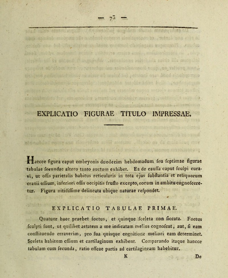 EXPLICATIO FIGURAE TITULO IMPRESSAE» Haecce figura caput embryonis duodecim hebdomadum feu feptimae figurae tabulae fecundae altero tanto auctum exhibet. Ea de cauffa caput fculpi cura- vi, ut offis parietalis habitus reticularis in tota ejus fubftantia et reliquorum cranii offium, inferiori offis occipitis frufto excepto, eorum in ambitu cognofcere- tur. Figura nitidiffime deiineata ubique naturae refpondet. EXPLICATIO TABULAE PRIMAE. Quatuor haec praebet foetus, et quinque fceleta non ficcata. Foetus fculpti funt, ut quilibet aetatem a me indicatam melius cognofcat, aut, fi eam confiituendo erraverim, pro fua quisque cognitione meliori eam determinet. Sceleta habitum cffium et cartilaginum exhibent. Comparando itaque hancce tabulam cum fecunda, ratio offeae partis ad cartilagineam habebitur. K De