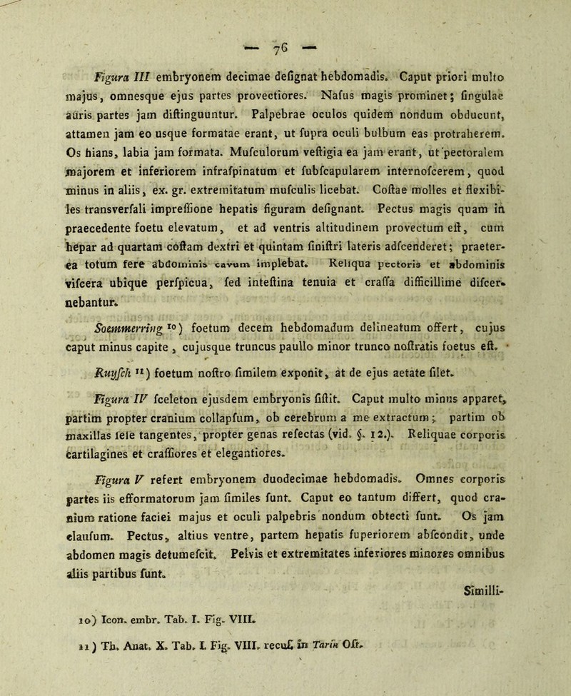 Figura III embryonem decimae defignat hebdomadis. Caput priori multo majus, omnesque ejus partes provectiores. Nafus magis prominet; Gngulae auris partes jam diftinguuntur. Palpebrae oculos quidem nondum obducunt, attamen jam eo usque formatae erant, ut fupra oculi bulbum eas protraherem. Os hians* labia jam formata. Mufculorum veftigia ea jam erant, ut'pectoralem majorem et inferiorem infrafpinatum et fubfcapularem internofcerem, quod minus in aliis, ex. gr. extremitatum mufculis licebat. Coftae molles et flexibi- les transverfali impreffione hepatis figuram deflgnant. Pectus magis quam in praecedente foetu elevatum* et ad ventris altitudinem provectum eft, cum hepar ad quartam coftam dextri et quintam finiftri lateris adfcenderet; praeter- ea totum fere abdominis cavum implebat» Reliqua pectoris et abdominis vifcera ubique perfpicua* fed inteftina tenuia et craffa difficillime difcer- nebantur» Sounmerring l0) foetum decem hebdomadum delineatum offert, cujus caput minus capite , cujusque truncus paullo minor trunca noflratis foetus eft. ■ Ruyfch 11) foetum noftro fimilem exponit, at de ejus aetate filet. Figura IV fceleton ejusdem embryonis fiftit. Caput multo minus apparet» partim propter cranium collapfum» ob cerebrum a me extractum; partim ob maxillas lele tangentes, propter genas refectas (vid. §. 12.). Reliquae corporis cartilagines et craffiores et elegantiores. Figura V refert embryonem duodecimae hebdomadis» Omnes corporis partes iis efformatorum jam fimiles funt. Caput eo tantum differt, quod cra- nium ratione faciei majus et oculi palpebris nondum obtecti funt. Os jam elaufum. Pectus» altius ventre, partem hepatis fuperiorem abfconditr» unde abdomen magis detumefcit» Pelvis et extremitates inferiores minores omnibus aliis partibus funt» Sim i 11 i- 10) Icon» embr. Tab. I. Fig» VIII.