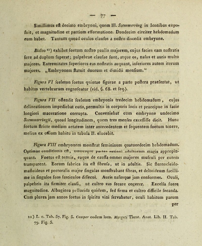 Simillimus eft decimo embryoni, quem 111. Soemtnerrivg in Iconibus expo* fuit, et magnitudine et partium efformatione. Duodecim circiter hebdomadum eum habet. Tantum quoad oculos claufos a noftro discedit embryone. Bidloo 12) exhibet foetum noftro paulio majorem, cujus facies eam noftratis fere ad duplum fuperat; palpebrae claufae funt, atque os, nafus et auris multo majores. Extremitates fuperiores eas noftratis aequant, inferiores autem iterum majores. ^Embryonem ftatuit duorum et dimidii menfium.u Figura VI fceleton foetus quintae figurae a parte poftera praefentat, ut habitus vertebrarum cognofcatur (vid. §. 68* et feq.)-. Figuret VII oftendit fceleton embryonis tredecim hebdomadum , cujus delineationem impediebat cutis, permultis in corporis locis et praecipue in facie longiori maceratione corrupta. Conveniebat cum embryone undecimo Soetmnerringii, quoad longitudinem, quem tres menfes exceffiffe dicit. Hunc foetum ftricte mediam aetatem inter antecedentem et fequentem foetum tenere, melius ex of£ium habitu in tabula II. elucebit. Figura VIII embryonem monftrat femininum quatuordecim hebdomadum. Optimae conditionis eft, oirmesque yaitc» rationi adultorum magis appropin- quant. Foetus eft tenuis, eaque de cauffa omnes majores mufculi per cutem transparent. Eorum fabrica ita eft fibrofa, ut in adultis. Sic fternocleido- maftoideus et pectoralis major Ungulas monftrabant fibras, et deltoideum facilli- me in fingulos fuos fasciculos diffecur. Auris nafusque jam conformes. Oculi, palpebris ita firmiter claufi, ut cultro eas fecare cogerer. Excelfa fuere magnitudine. Albuginea pellucida quidem, fed firma et cultro difficile fecanda. Cum pluresjam annos foetus in fpiritu vini fervabatur, oculi habitum parum per 12) L. c. Tab. 5j. Fig. 5. Cowper eodem loco, Mqrgeti Theat. Anat, Lib. II. Tab. 79. Fig. 5.