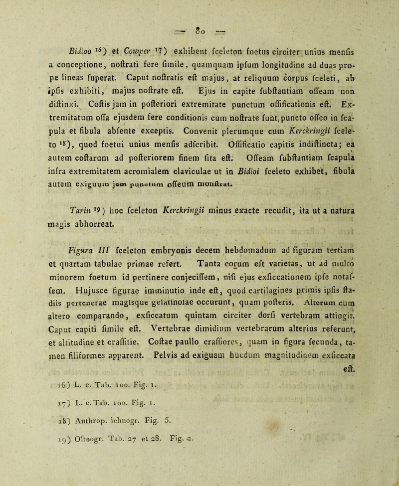 BiJloo lS) et Cowpcr J7) exhibent fceleton foetus circiter unius mentis a conceptione, noftrati fere fnnile, quamquam ipfum longitudine ad duas pro- pe lineas fuperat. Caput noftratis eft majus, at reliquum corpus fceleti, ab ipfis exhibiti, majus noftrate eft. Ejus in capite fubftantiam offeam non diftinxi. Coftis jam in pofteriori extremitate punctum offificationis eft. Ex- tremitatum offa ejusdem fere conditionis cum noftrate funt, puncto offeo in fca- pula et fibula abfente exceptis. Convenit plerumque cum Kerckringii fcele- to 18), quod foetui unius mentis adfcribit. Offificatio capitis indiftincta; ea autem coftarum ad pofteriorem finem fita eft. Offeam fubftantiam fcapula infra extremitatem acromialem claviculae ut in Bidloi fceleto exhibet, fibula autem exiguum jam punctum offeum monflrat. I Tarinl9) hoc fceleton Kerckringii minus exacte recudit, ita ut a natura magis abhorreat. Figura III fceleton embryonis decem hebdomadum ad figuram tertiam et quartam tabulae primae refert. Tanta eorum eft varietas, ut ad multo minorem foetum id pertinere conjeciffem, rufi ejus exficcationem ipfe notaf- fem. Hujusce figurae imminutio inde eft, quod cartilagines primis ipfis fta- diis pcrtcnerae magisque gelatinolae occurunt, quam poftens. Alterum cum altero comparando, exficcatum quintam circiter dorfi vertebram attingit. Caput capiti fimile eft. Vertebrae dimidium vertebrarum alterius referunt, et altitudine et craffitie. Coftae paullo craffiores, quam in figura fecunda, ta- men filiformes apparent. Pelvis ad exiguam hucdum magnitudinem exficcata eft. 16O E. c. Tab. 100. Fig. i. 17) L. c. Tab. 100. Fig. 1. 18) Anthrop. iclinogr. Fig. 5.