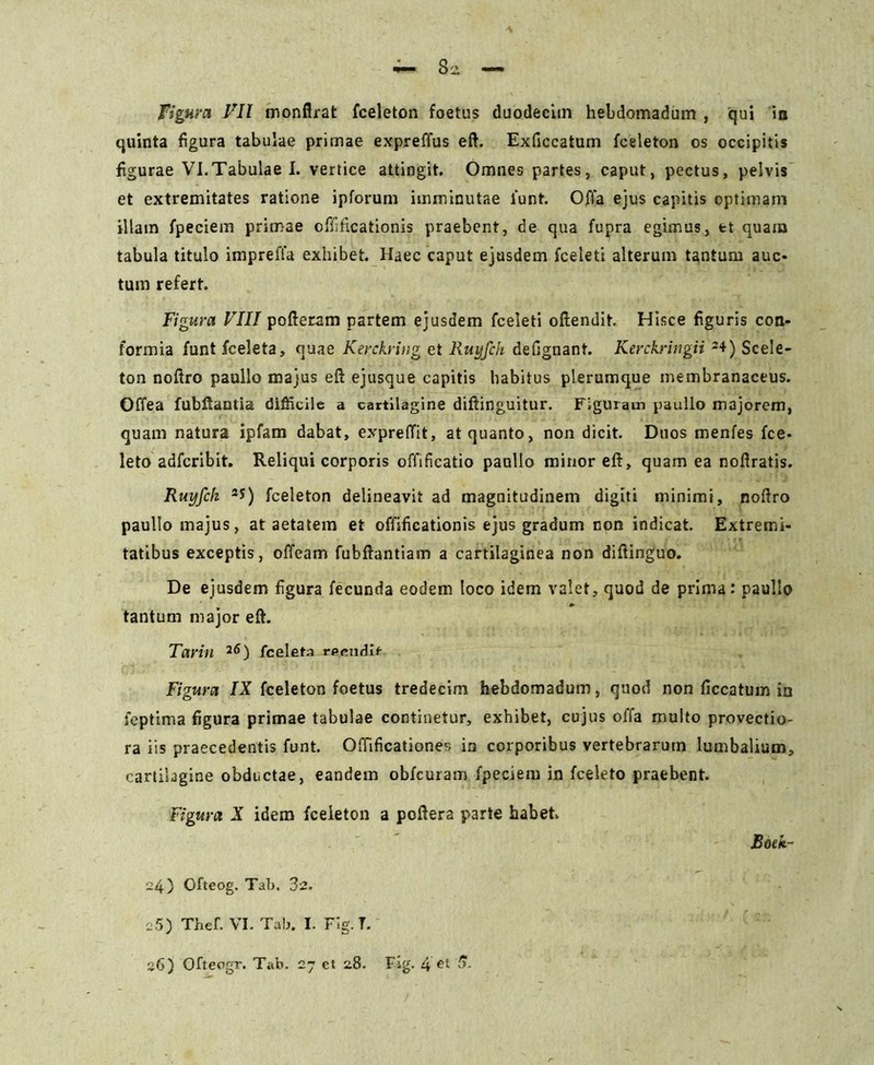 Figura VII monflrat fceleton foetus duodecim hebdomadum , qui ia quinta figura tabulae primae expreffus eft. Exficcatum fceleton os occipitis figurae VI.Tabulae I. vertice attingit. Omnes partes, caput, pectus, pelvis et extremitates ratione ipforum imminutae funt. Offa ejus capitis optimam illam fpeciem primae offificationis praebent, de qua fupra egimus, et quam tabula titulo impreffa exhibet. Haec caput ejusdem fceleti alterum tantum auc- tum refert. Figura VIII pofteram partem ejusdem fceleti oftendit. Hisce figuris con- formia funt fceleta, quae Kerckring et Ruyfch defignant. Kerckriugii 2+) Scele- ton noftro paullo majus eft ejusque capitis habitus plerumque membranaceus. Offea fubftantia difficile a cartilagine diftinguitur. Figuram paullo majorem, quam natura ipfam dabat, expreffit, at quanto, non dicit. Duos menfes fce- leto adferibit. Reliqui corporis offificatio paullo minor eft, quam ea noftratis. Ruyfch 2S) fceleton delineavit ad magnitudinem digiti minimi, noftro paullo majus, at aetatem et offificationis ejus gradum non indicat. Extremi- tatibus exceptis, offeam fubftantiam a cartilaginea non diftinguo. De ejusdem figura fecunda eodem loco idem valet, quod de prima: paullo tantum major eft. Tarin 2&) fceleta rpendit Figura IX fceleton foetus tredecim hebdomadum, quod non ficcatum in feptima figura primae tabulae continetur, exhibet, cujus offa multo provectio- ra iis praecedentis funt. Offificationes in corporibus vertebrarum lumbalium, cartilagine obductae, eandem obfcuram fpeciem in fceleto praebent. Figura X idem fceleton a poftera parte habet Boeh- 24) Ofteog. Tab. 32. -5) Thef. VI. Tab. I. Fig. T.