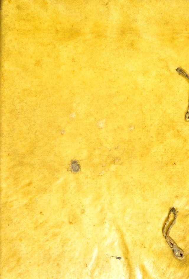 digitised image 1