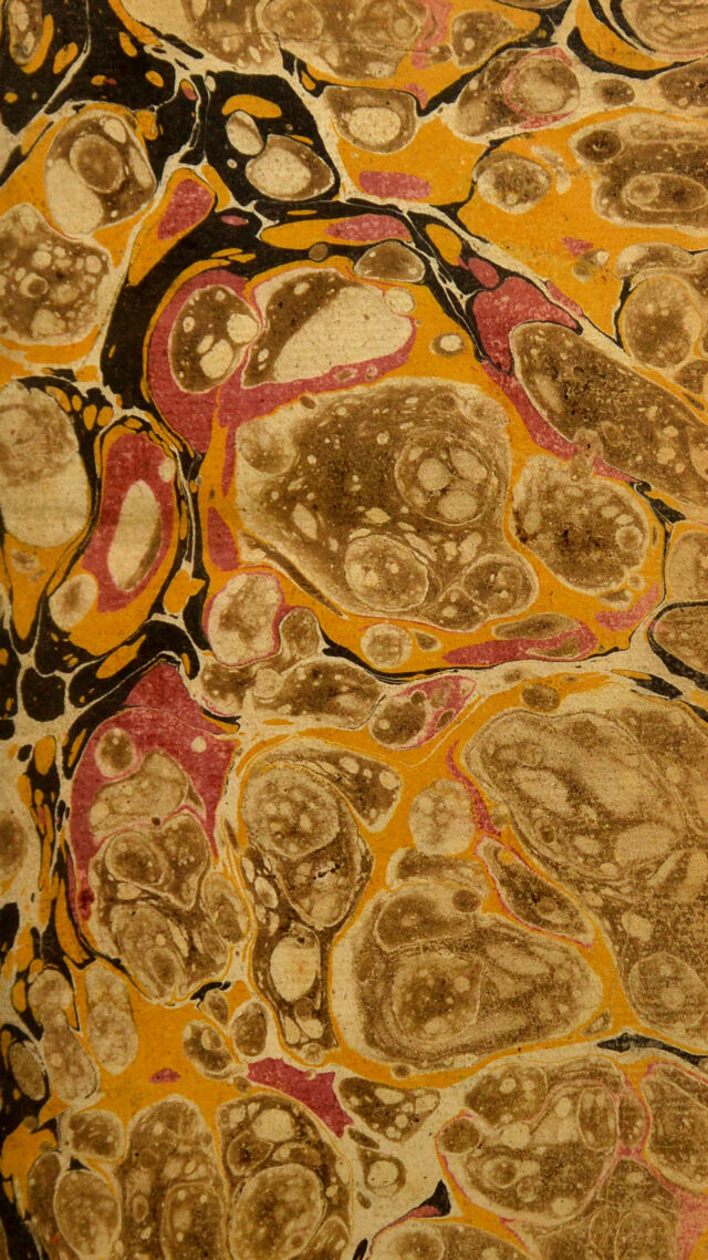 digitised image 3