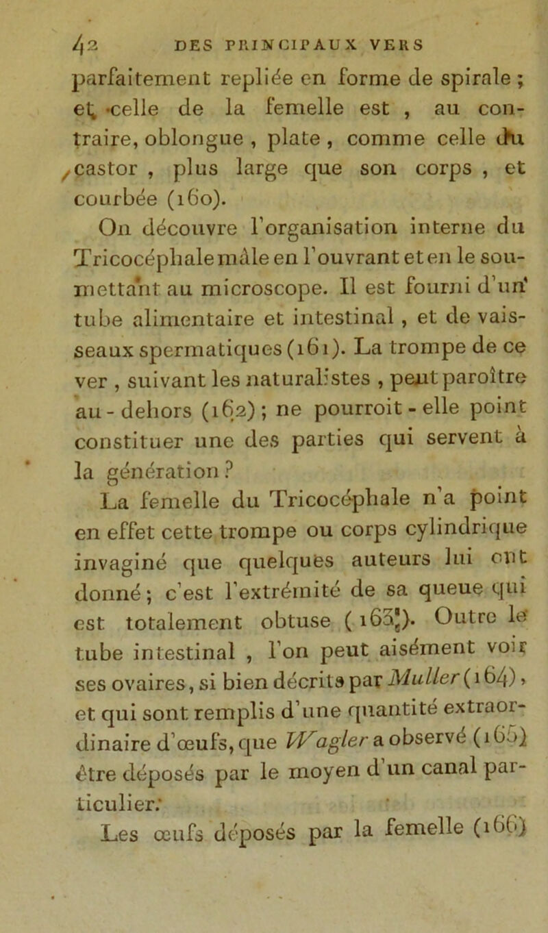 parfaitement repliée en forme de spirale ; el* «celle de la femelle est , au con- traire, oblongue , piate , corame celle chi ,castor , plus large cpie soli corps , et courbée (160). O11 découvre l’organisation interne chi Tricocéplialemàleen Fouvranteten le sou- mettant au microscope. Il est forimi d ira tube alimentaire et intestinal, et de vais- seaux spermatiques (ibi). La trompe de ce ver , suivant les naturabstes , pentparoìtre au-dehors (162); ne pourroit - elle point constituer une des parties qui servent a la generation ? La femelle du Tricocéphale n a point en effet cette trompe ou corps cylindrique invaginò que quelques auteurs lui cut donne ; c est l extrémité de sa queue qui est totalement obtuse ( i65J). Outre le tube intestinal , Fon peut aisòment voir ses ovaires, si bien décrits par Mailer ( 1 ti4) > et qui sont remplis d une quantité extraoi- dinaire d’ceufs,que ffAag/e/aobserve (ìbo) étre déposòs par le moyen d un canal pai- ticulier: Les ceufs déposes par la femelle (ìbb)