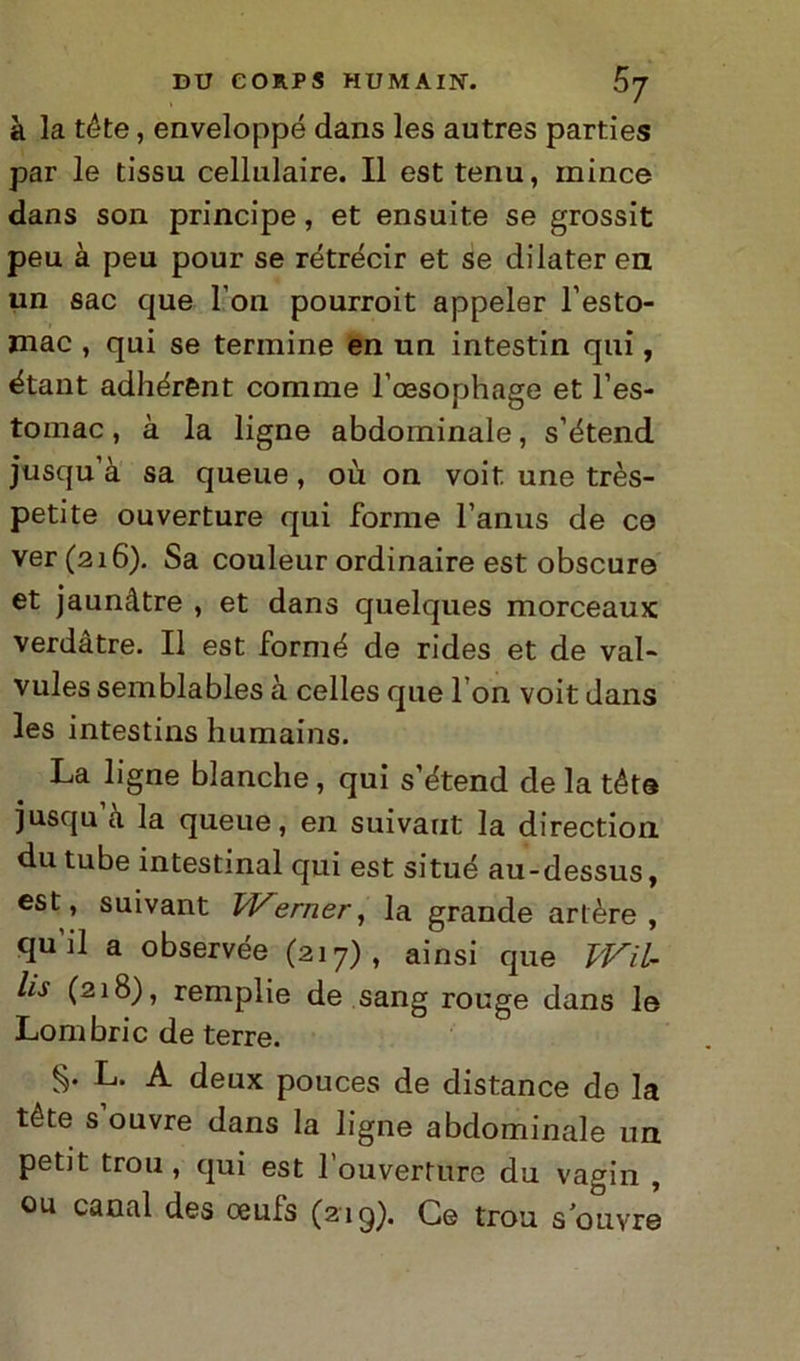 à la téte, enveloppé dans les autres parties par le tissu cellulaire. Il est tenu, mirice dans son principe, et ensuite se grossit peu à peu pour se rétrécir et se dilaterei! un sac que fon pourroit appeler l’esto- mac , qui se termine en un intestin qui, étant adhérent comme l’cesophage et l’es- toinac, à la ligne abdominale, s’étend jusqu’à sa queue, où on voit une très- petite ouverture qui forme l’anus de co ver (216). Sa couleur ordinaire est obscuro et jaunàtre , et dans quelques morceaux verdàtre. Il est formé de rides et de vai- vules semblables à celles que l on voit dans les intestins humains. La ligne bianche, qui s’étend de la téte jusqu a la queue, en suivaut la direction du tube intestinal qui est situò au-dessus, est, suivant Werner, la grande arlère , qu’il a observée (217), ainsi que Wil- hs (218), remplie de sang rouge dans le Lombric de terre. §. L. A deux pouces de distance de la téte s ouvre dans la ligne abdominale un petit trou , qui est 1 ouverture du vagin , ou canal des oeufs (219). Ce trou s ouvre