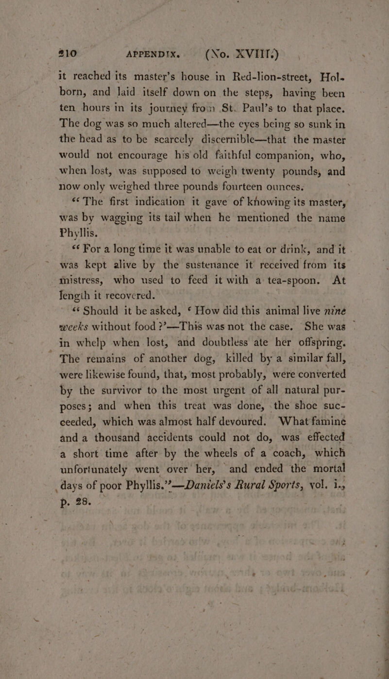 it reached its master’s house in Red-lion-street, Hol- born, and laid itself down on the steps, having been ten hours in its journey from St. Paul’s to that place. The dog was so much altered—the eyes being so sunk in the head as to be scarcely discernible—that the master would not encourage his old faithful companion, who, when lost, was supposed to weigh twenty pounds, and now only weighed three pounds fourteen ounces. “‘ The first indication it gave of knowing its master, was by wagging its tail when he mentioned the name Phyllis. | <¢ For a long time it was unable to eat or drink, and it was kept alive by the sustenance it received from its mistress, who used to feed it bie a tea-spoon. At Tengih it recovered. «* Should it be asked, ‘ How did this animal live nine in whelp when lost, and doubtless ate her offspring. The remains of another dog, killed by a similar fall, were likewise found, that, ‘most probably, were converted by the survivor to the most urgent of all natural pur- poses; and when this treat was done, .the shoe suc- ceeded, which was almost half devoured. What famine and a thousand accidents could not do, was effected a short time after by the wheels of a coach, which unfortunately went over her, “and ended the mortal days of poor Phyllis.’ ?—Daniels’s Rural Spor ts, vol. i., p. 28.