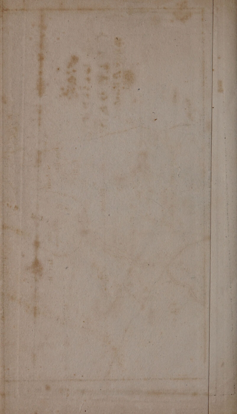 AE wl MOPS a4. *\ ~~ cen Feel stra 4 rd = ~ a + ge Pp itary ee Se Wisse? % ‘ Hes -