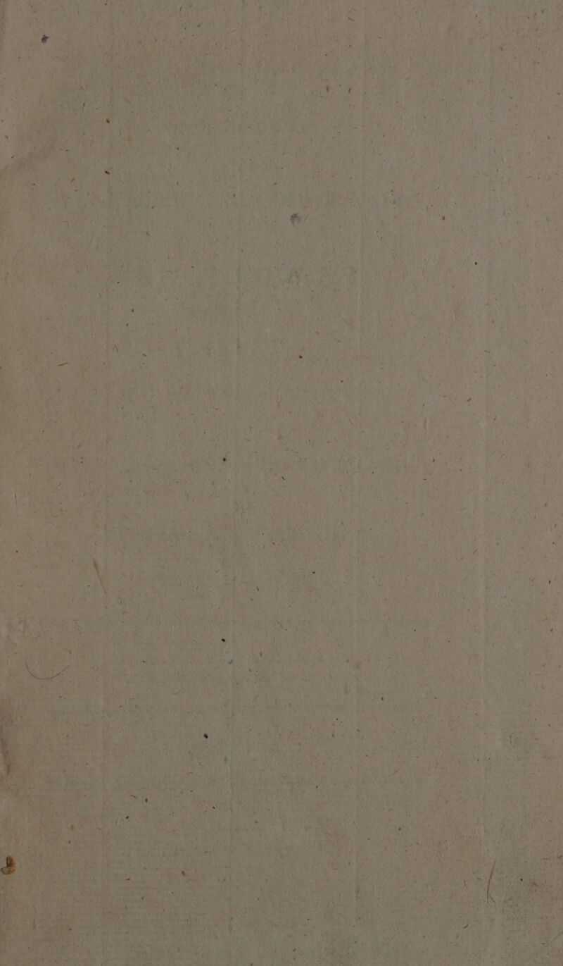 Asti ‘ t) ; ae ® ie . ‘a ot rs) \% aA ee A} z