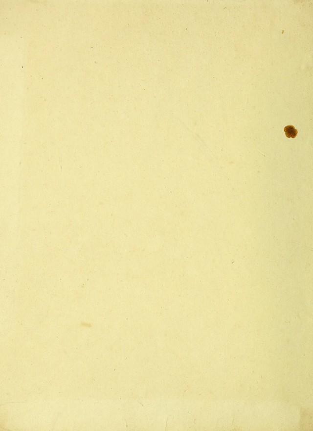 digitised image 2