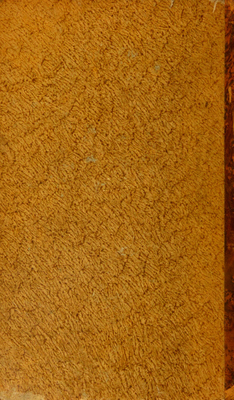 ■ ?VviN^*^> , .'V>SkVJ • '-L