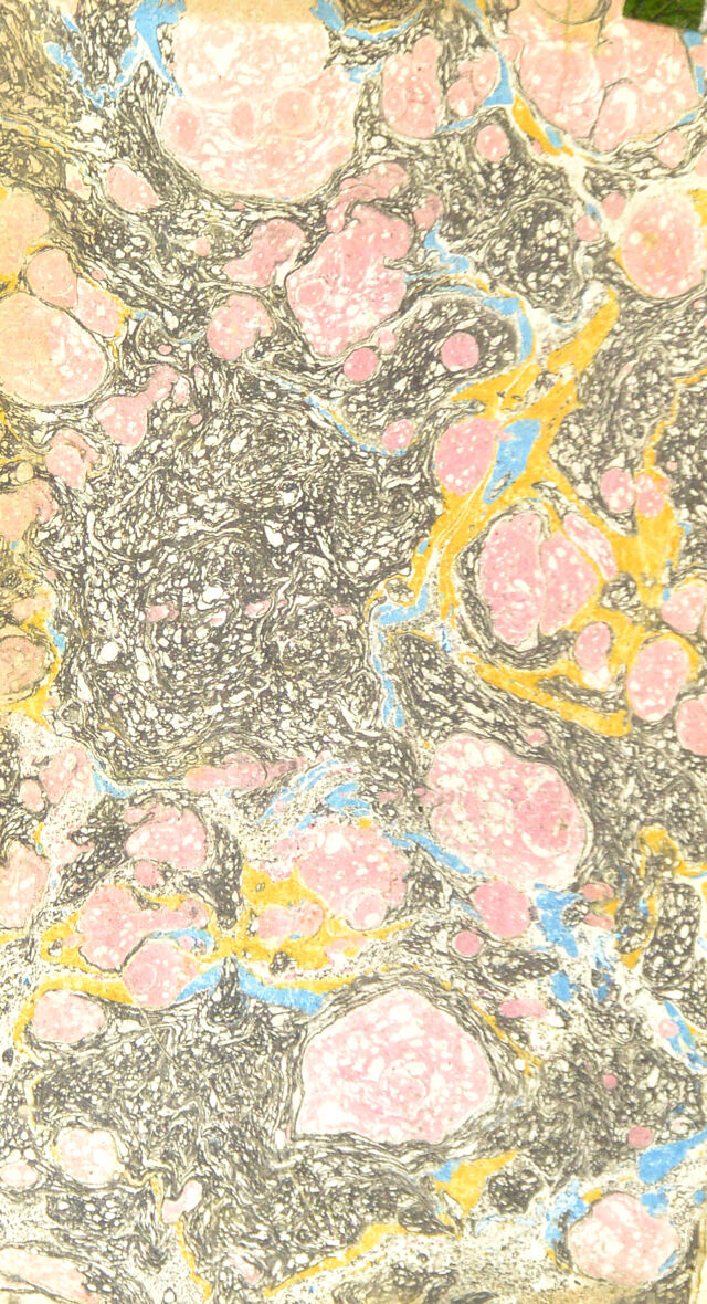 No text description is available for this image